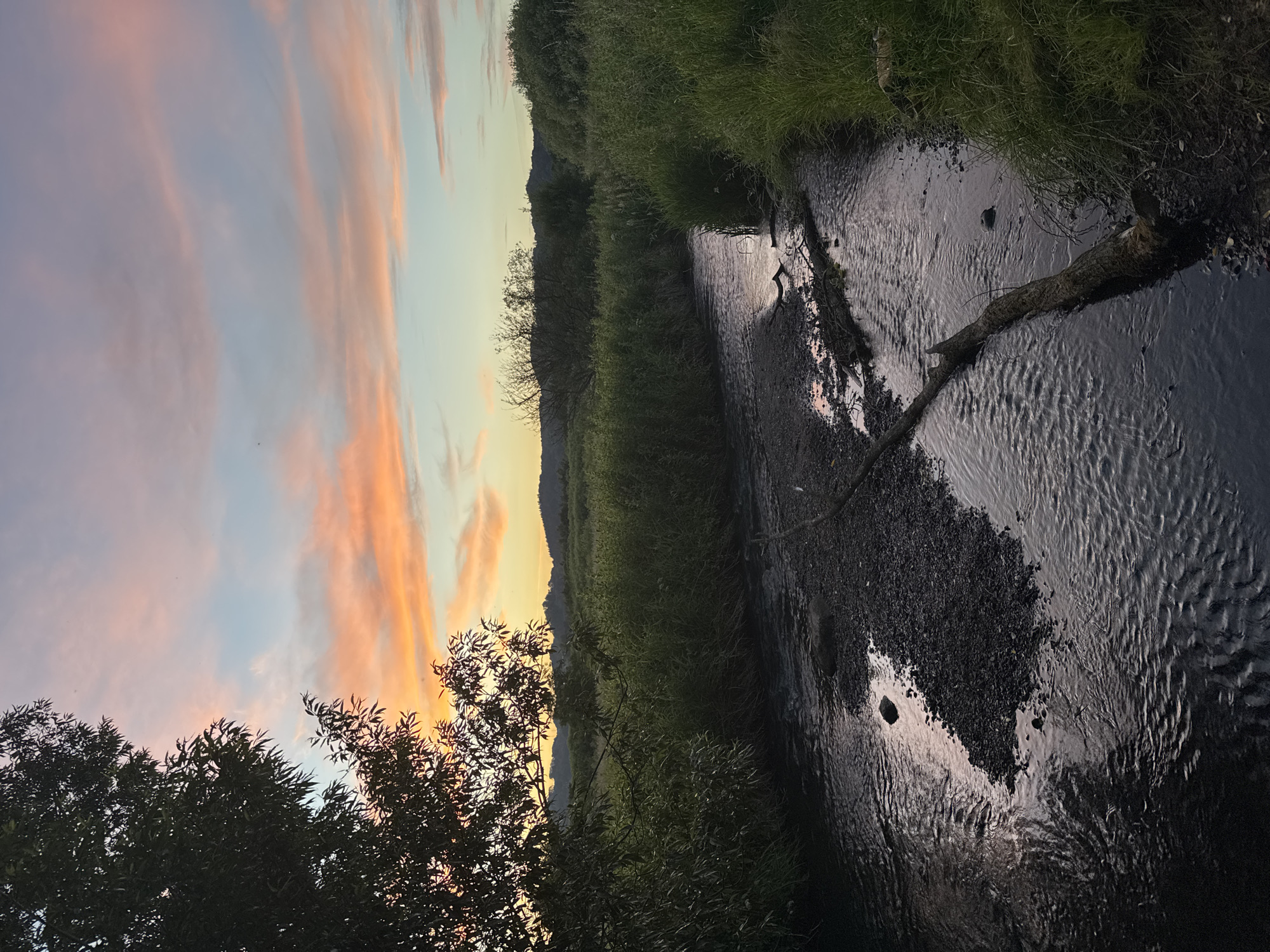 Sunset stroll along Vejle's riverside paths and pastures