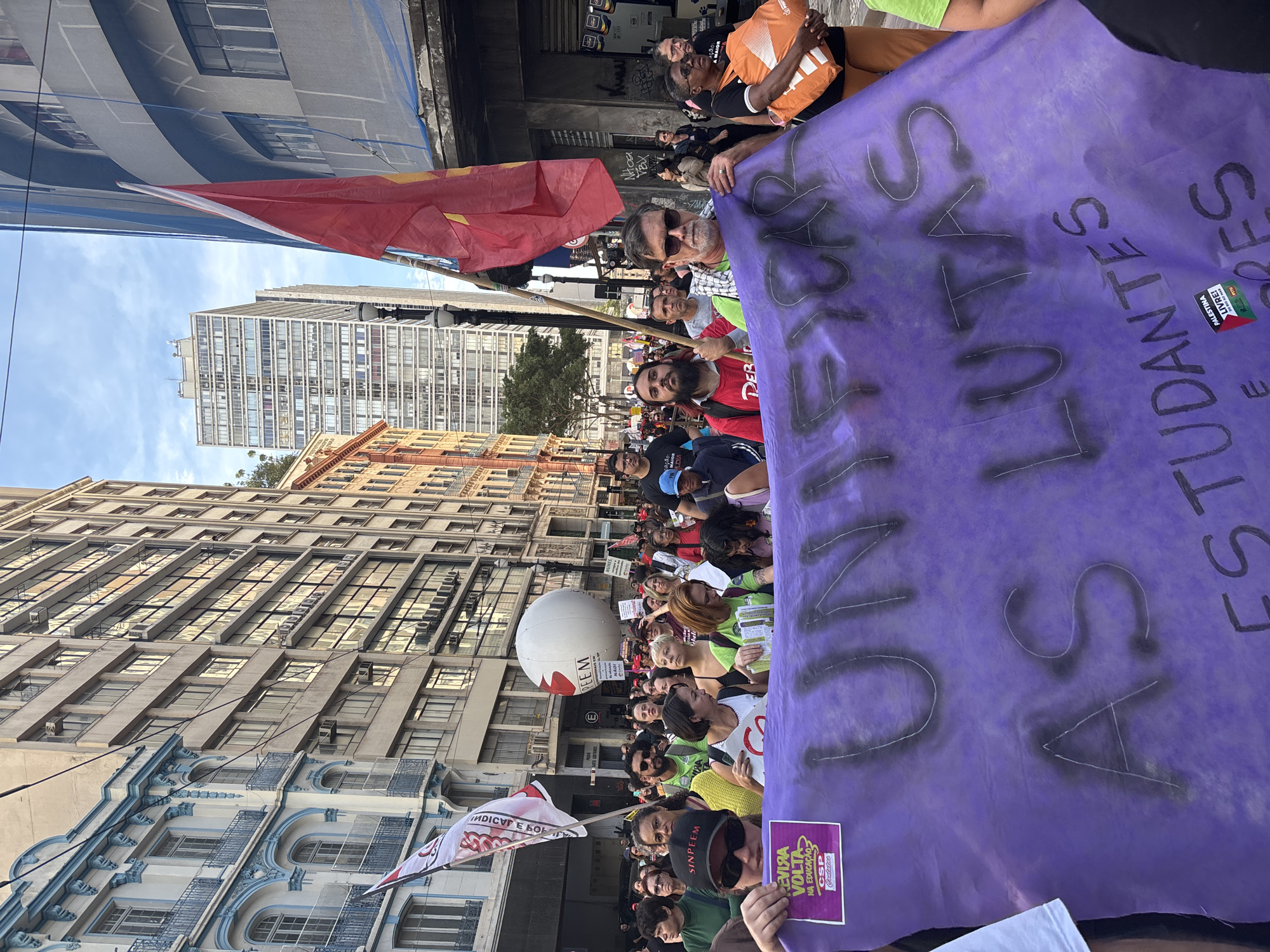 São Paulo protesters march against education privatization