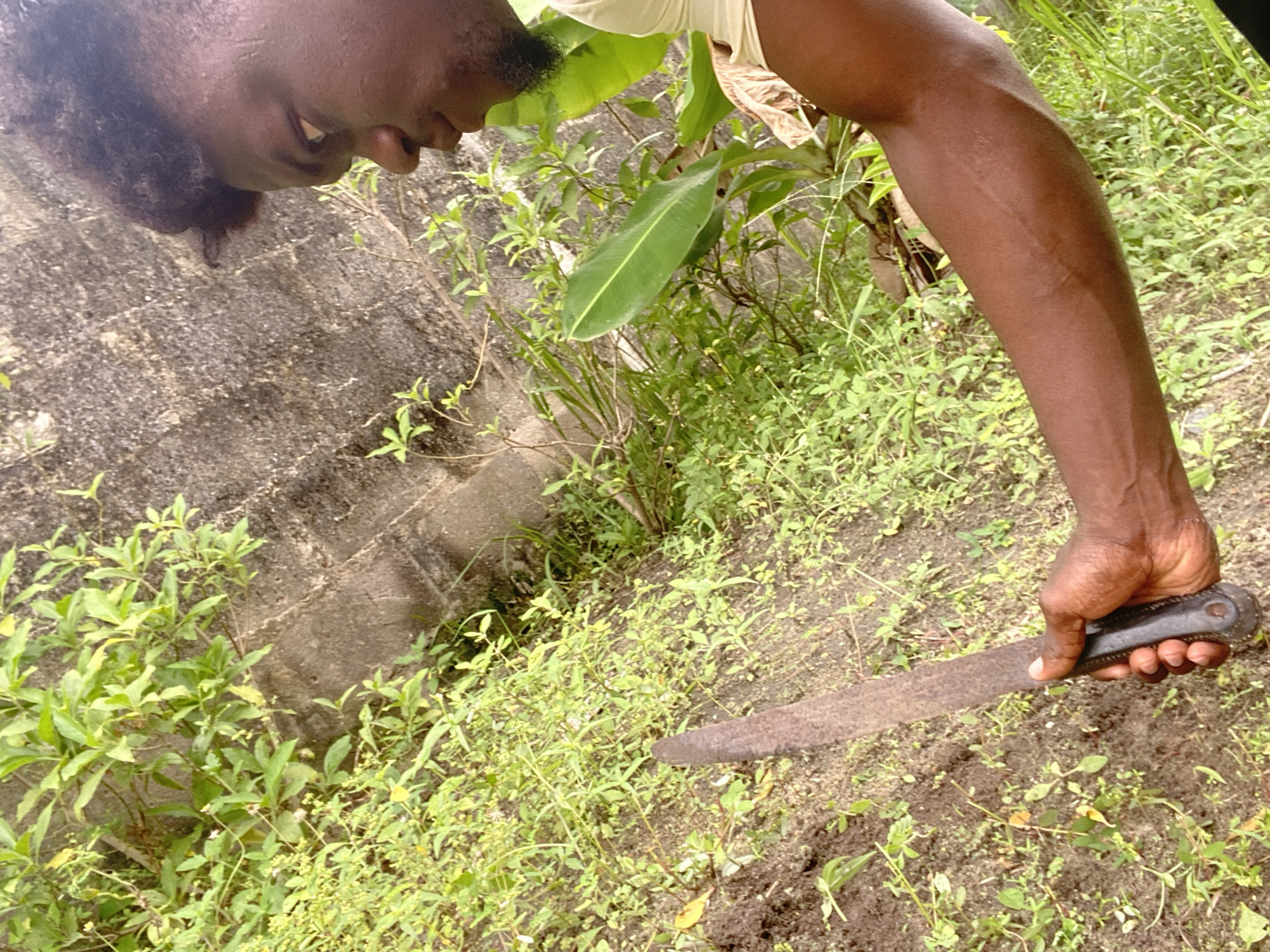 Man clears vegetation with machete in overgrown yard area