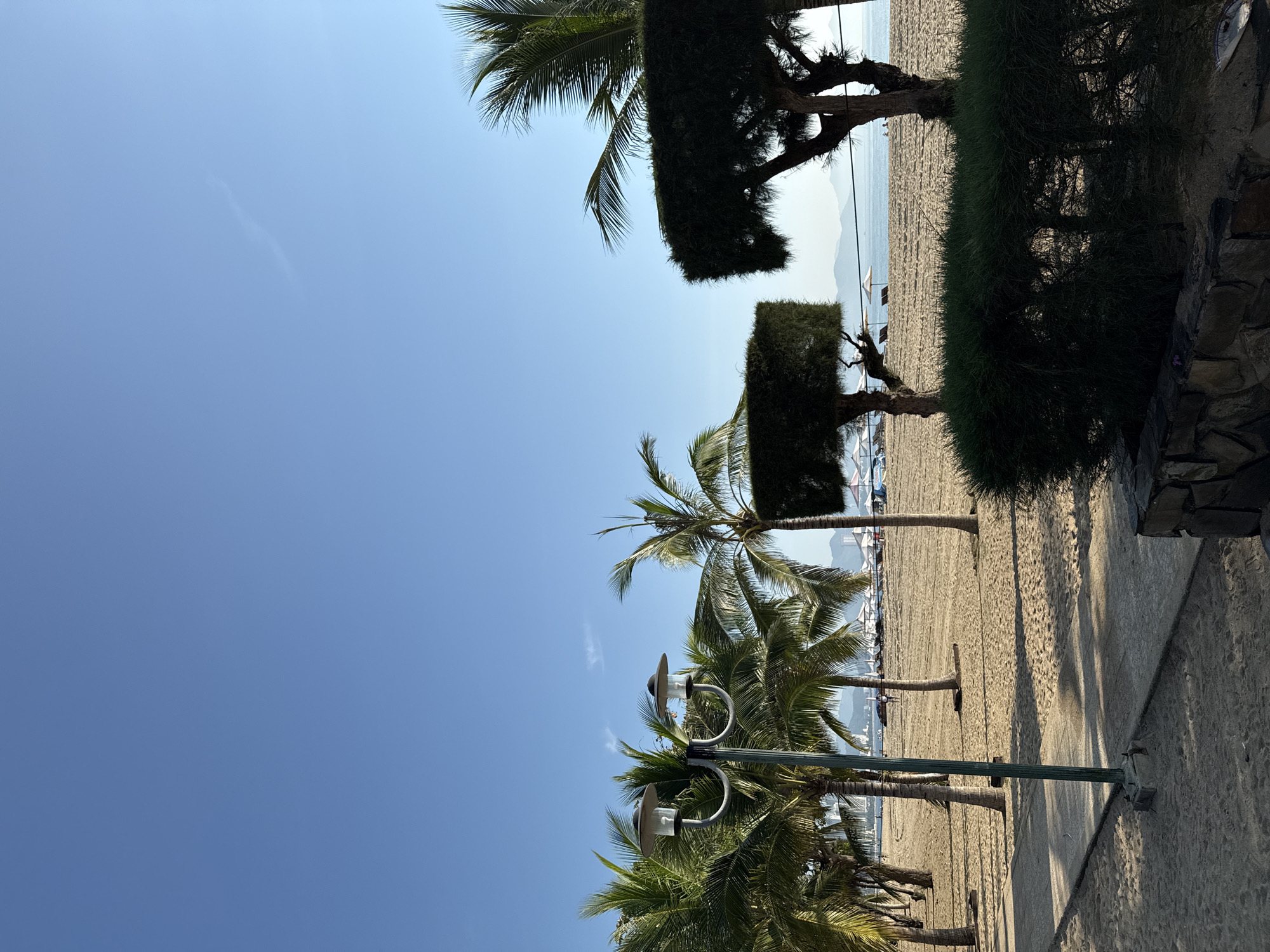 Quiet morning along Nha Trang's palm-lined beachfront promenade