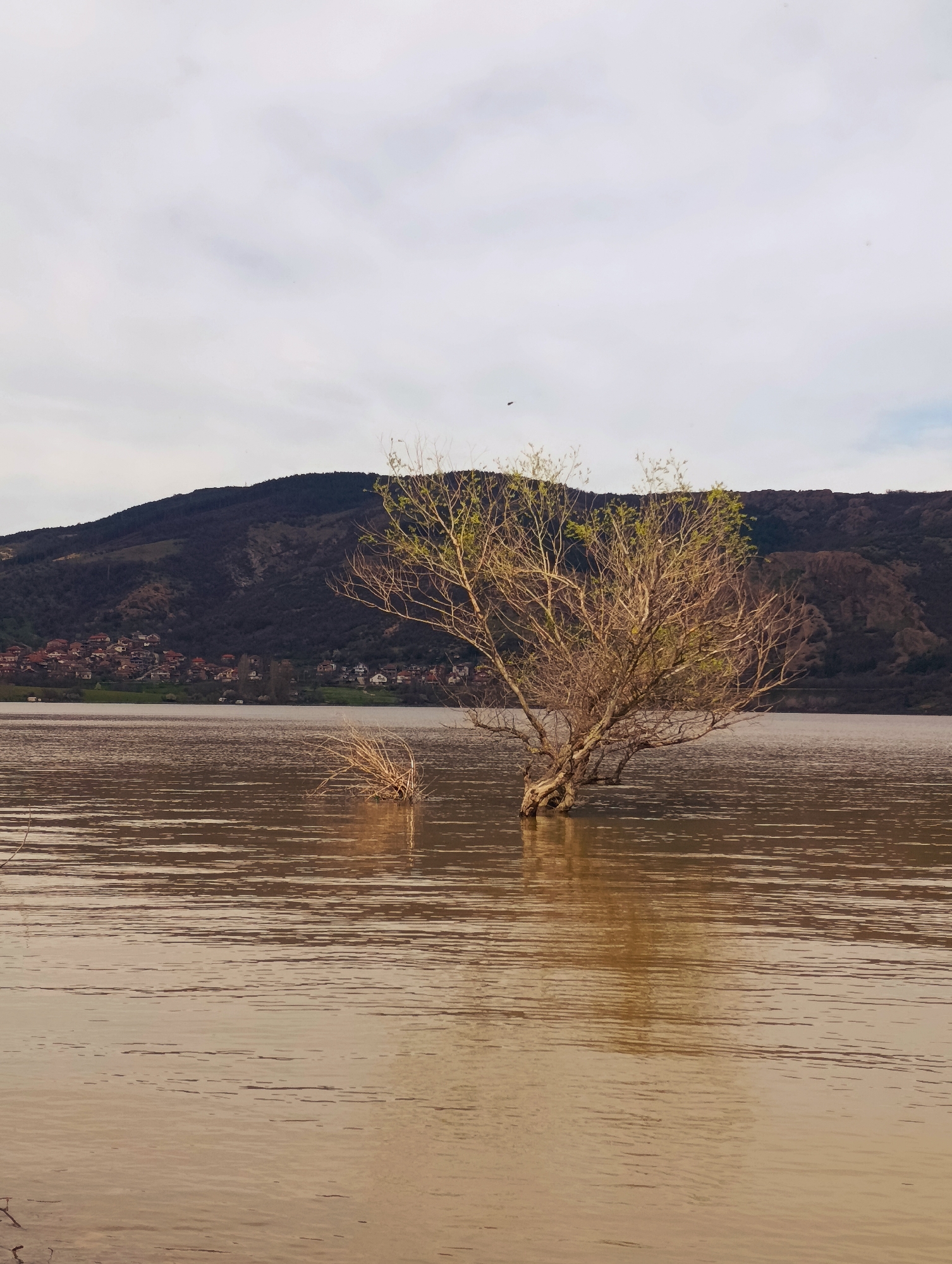 Spring flooding and rural life documented in Shiroko pole