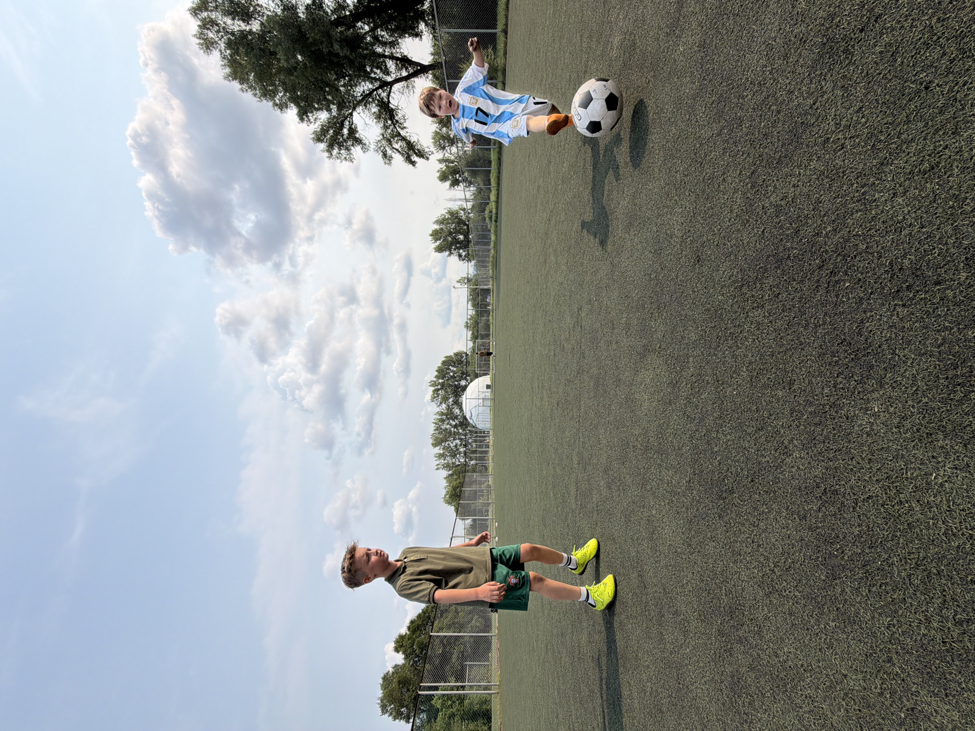 Soccer field and wildlife scene near a Krasnoyarsk dome