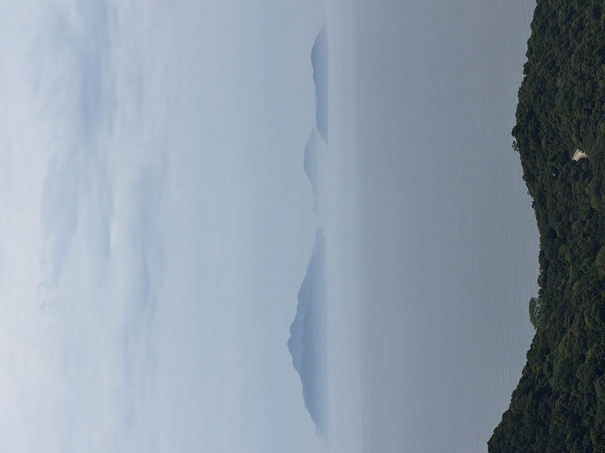 Motorcyclist stops for selfie on misty Sơn Trà Peninsula overlook