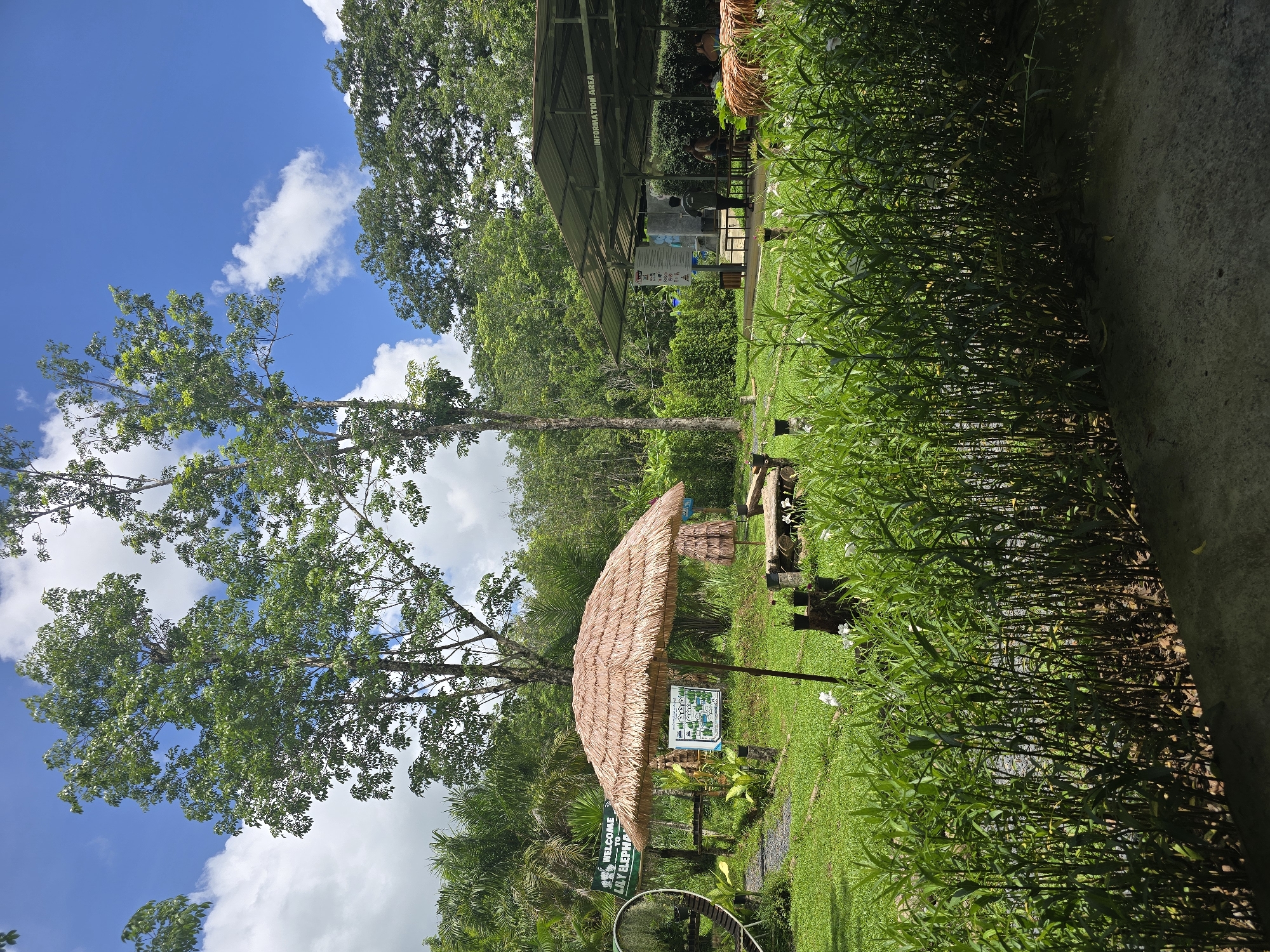 Tourist attraction Lily Elephant Camp documented by witnesses