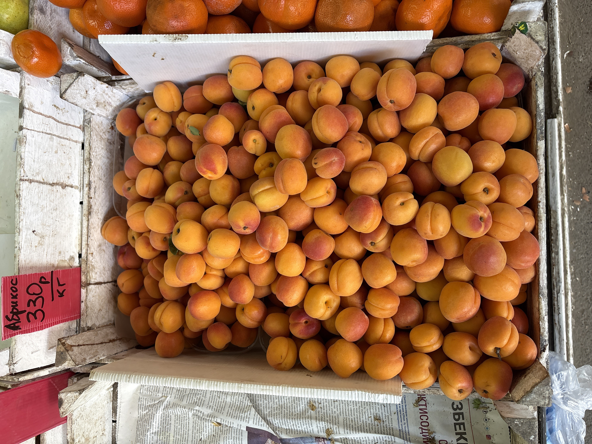 Market life and street scenes captured in Alushta, Ukraine