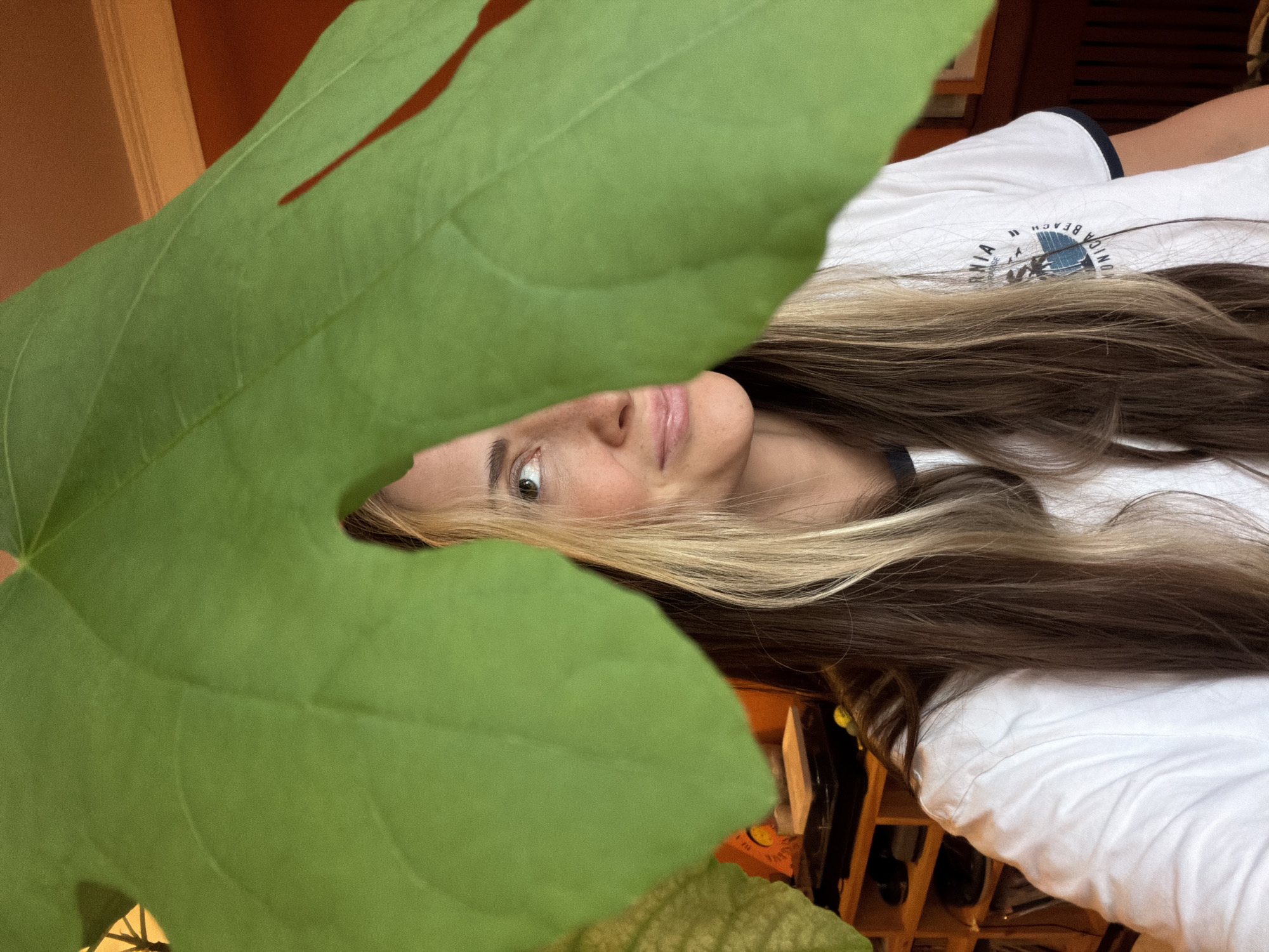 Leafy peek-a-boo and cat ears on a rug