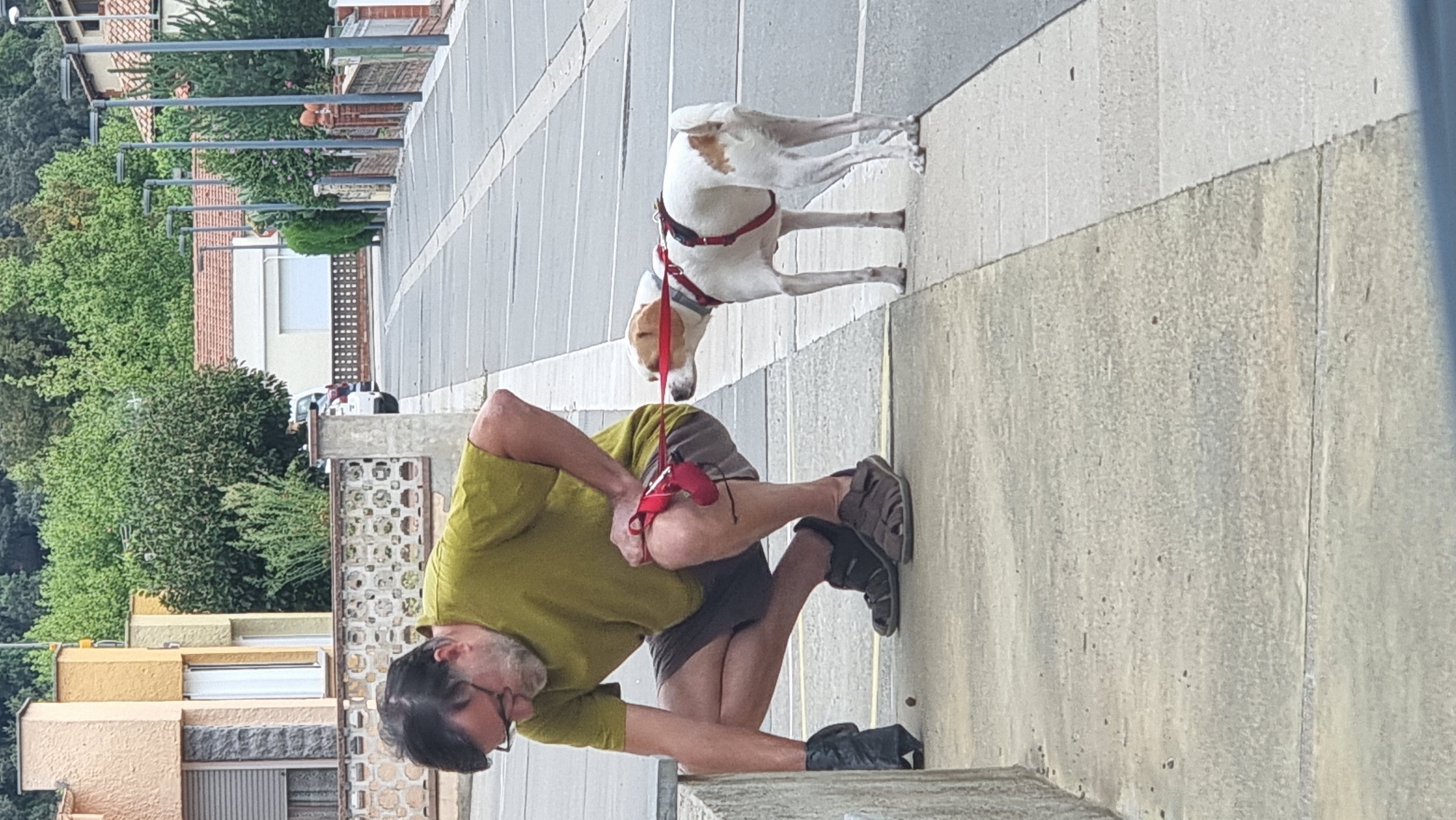 Morning dog walk and cleanup in Sant Joan Les Fonts