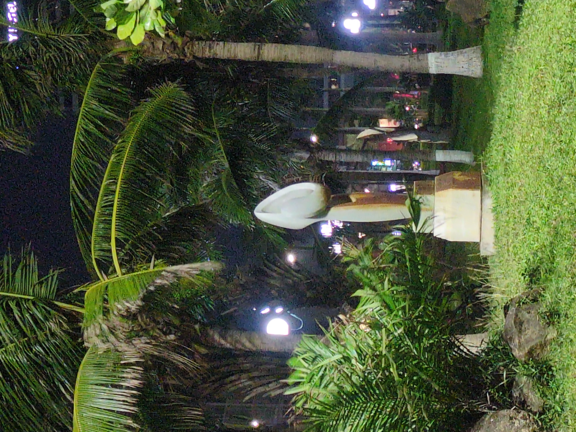 Nighttime scenes documented across Quy Nhon Ward, Vietnam