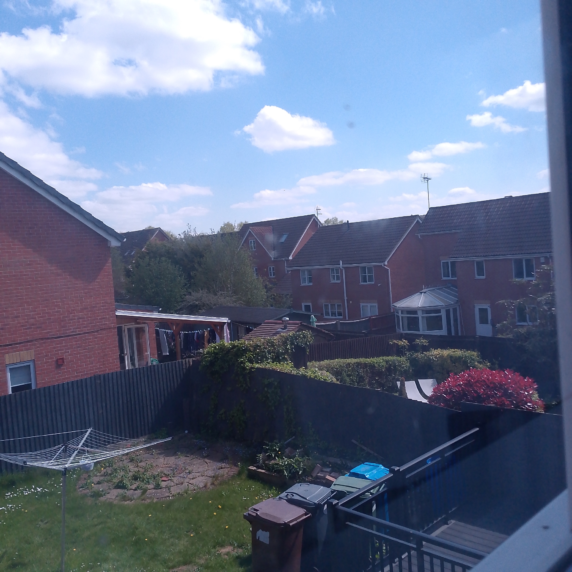 Sunny residential backyard scene observed in Corby