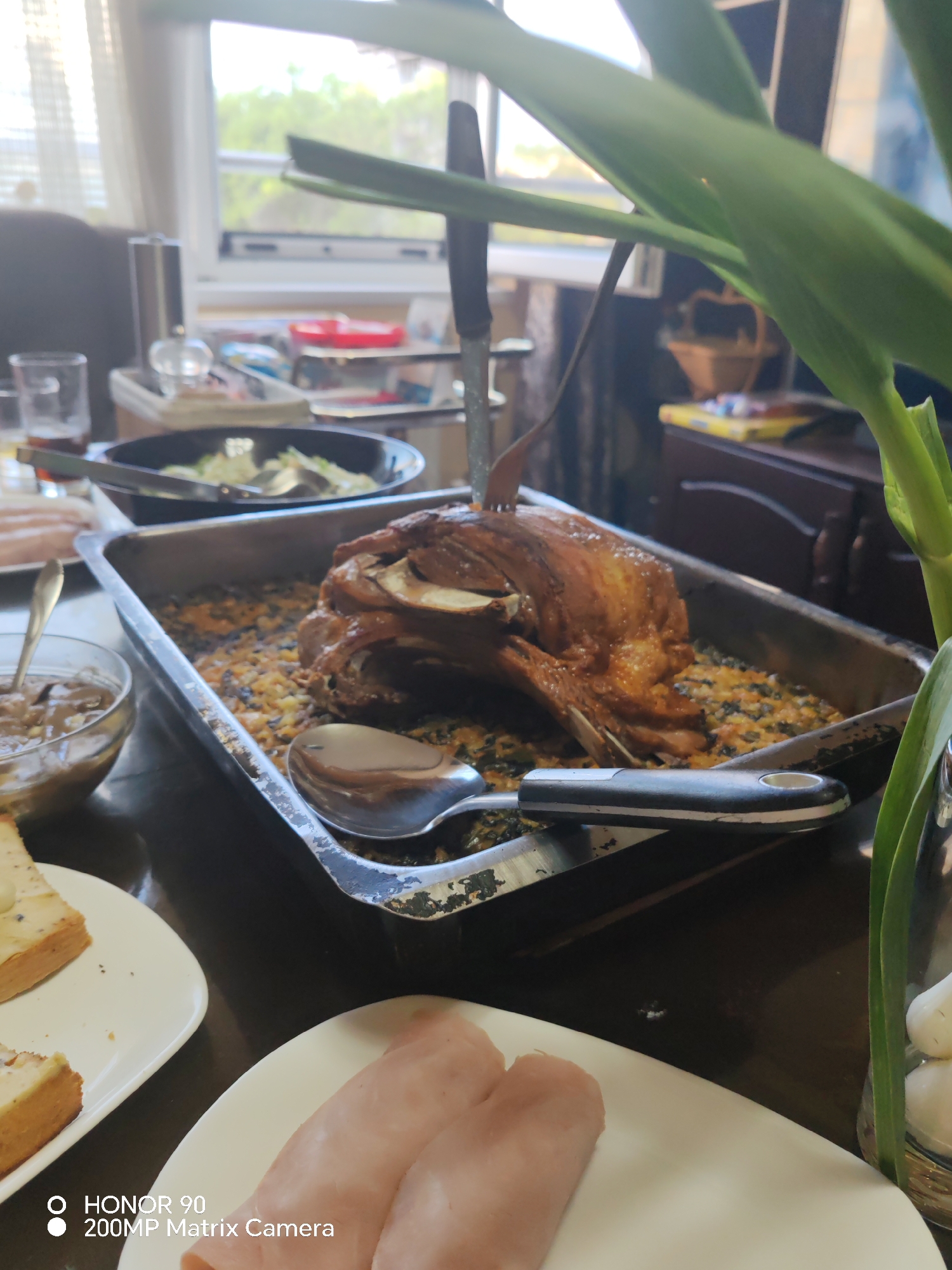 Home-cooked roasted meat dinner served in Sofia residence