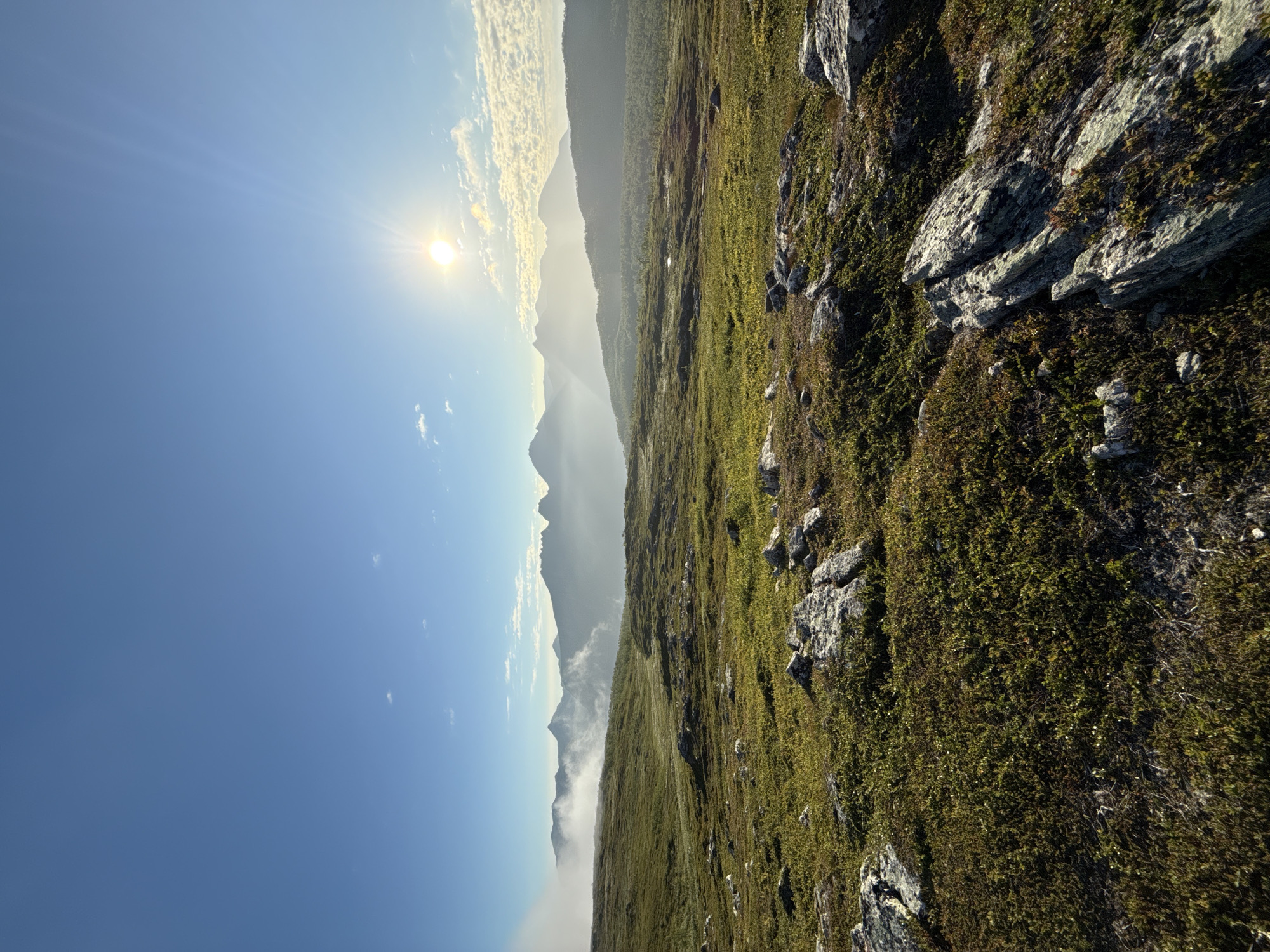 Harstad heathland and mountain landscape on a clear July morning