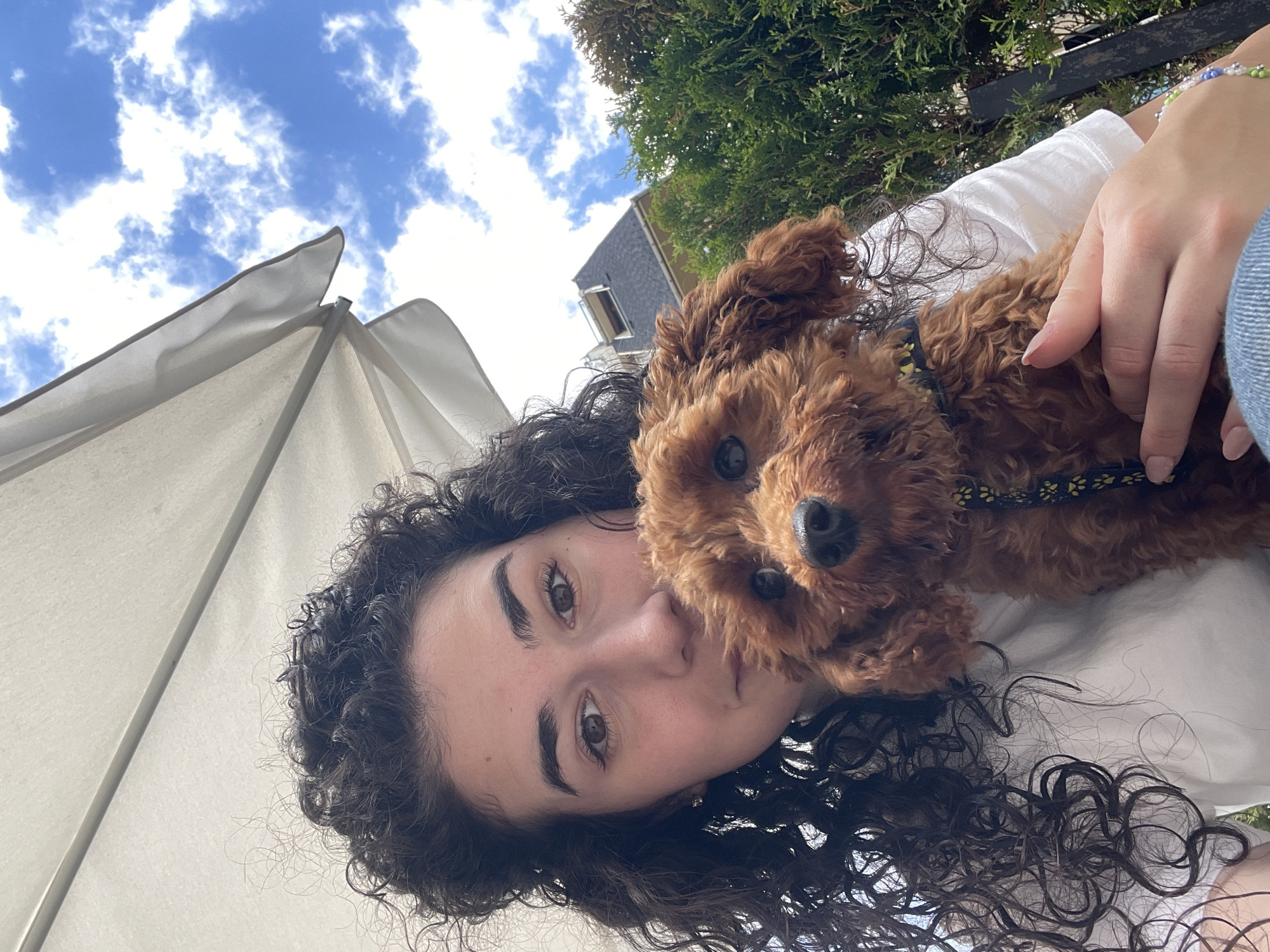 Woman documents morning dog walk through Sofia parks and streets