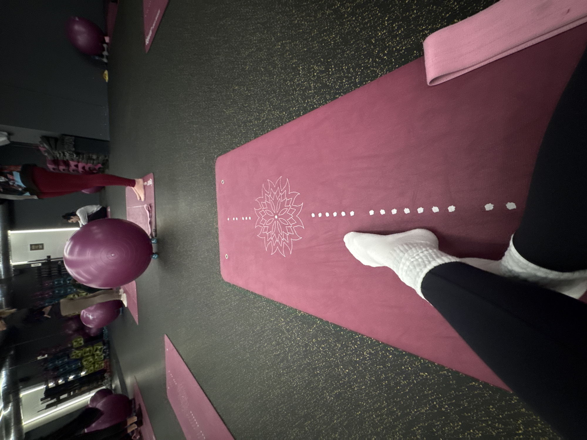 Group fitness session underway at Sofia studio