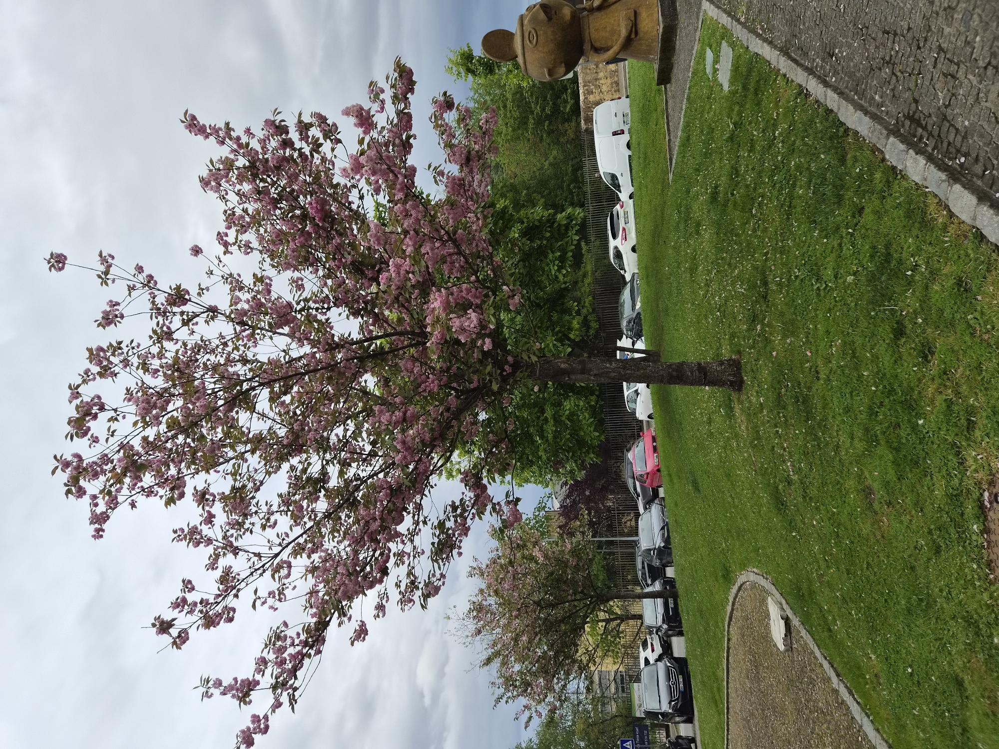 Spring day scenes captured across Barcelos, Portugal