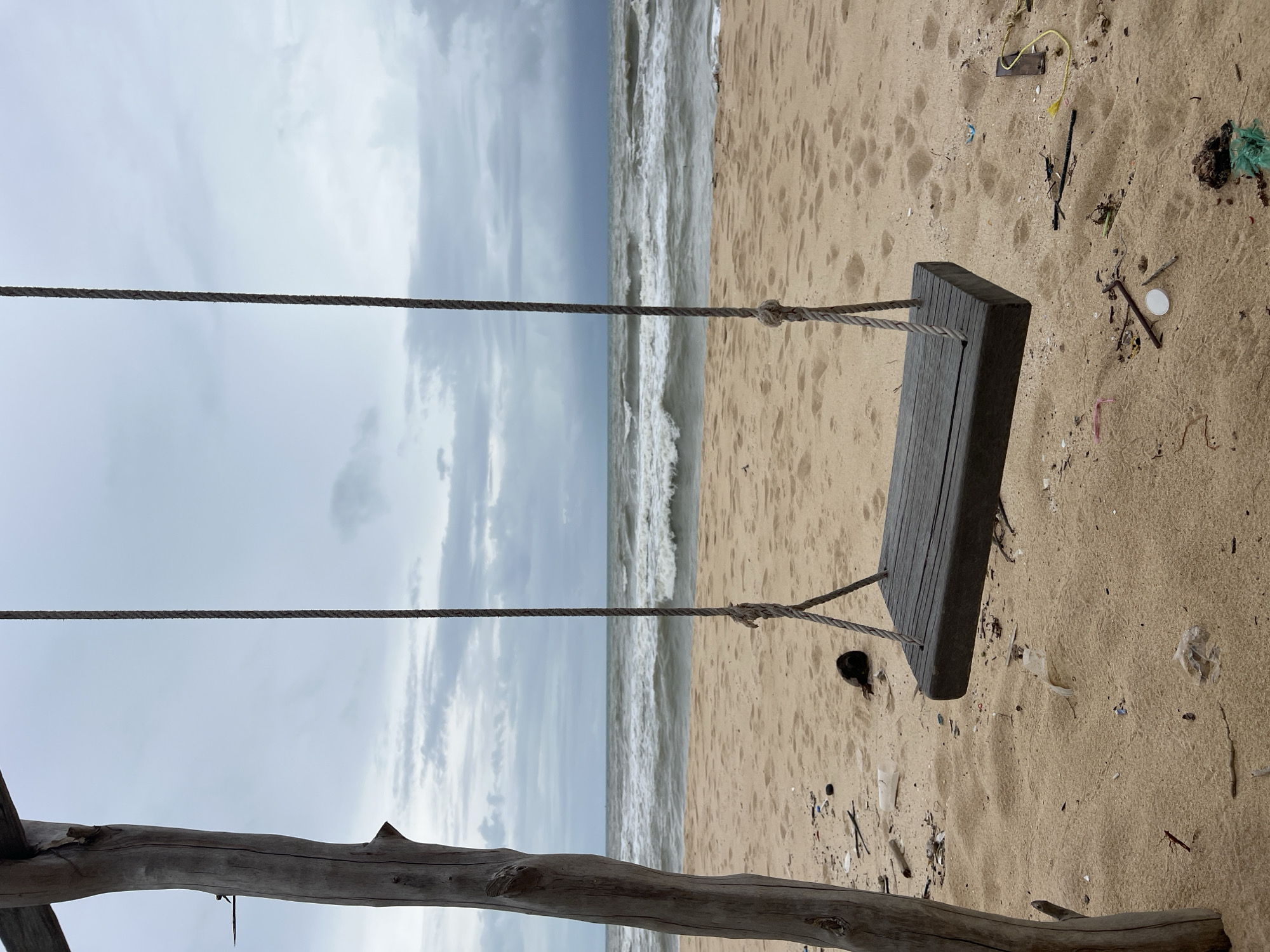 Rope swing and coconut palms on a Phú Quốc beach
