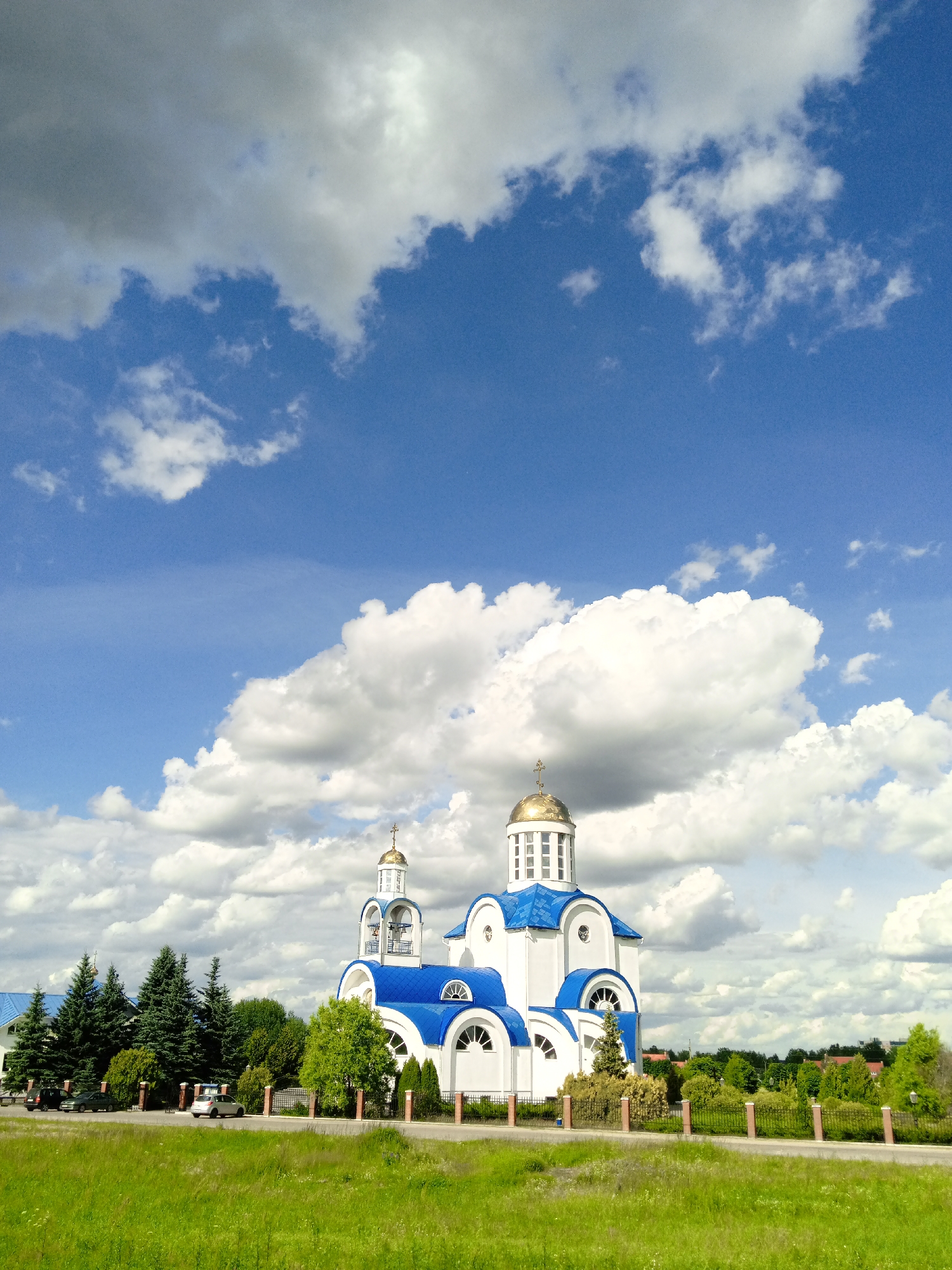 Church domes, stormy skies, and a bee in the clover