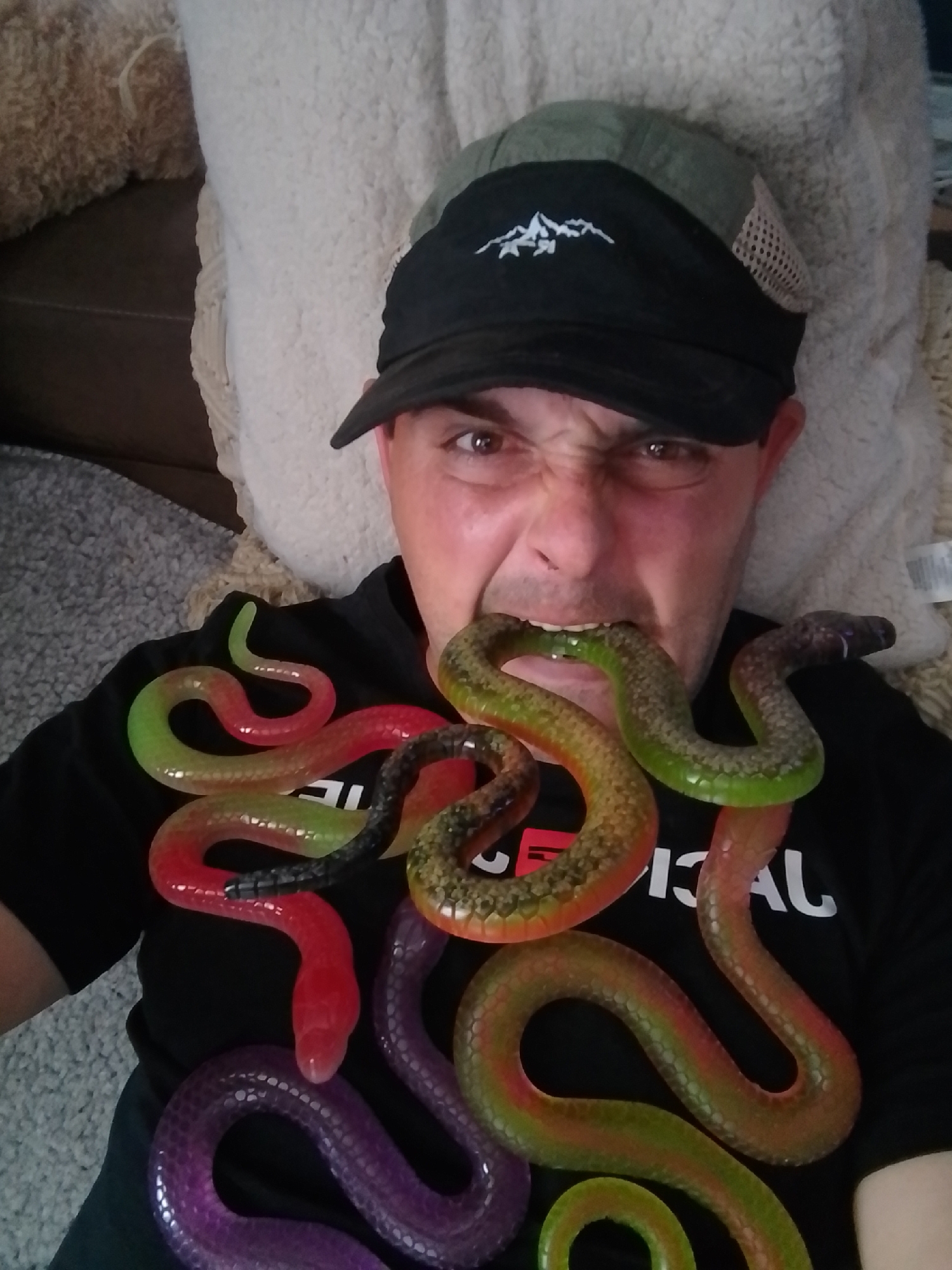 Couch day in Wedel: snakes, a teddy bear, and Hamburg pride