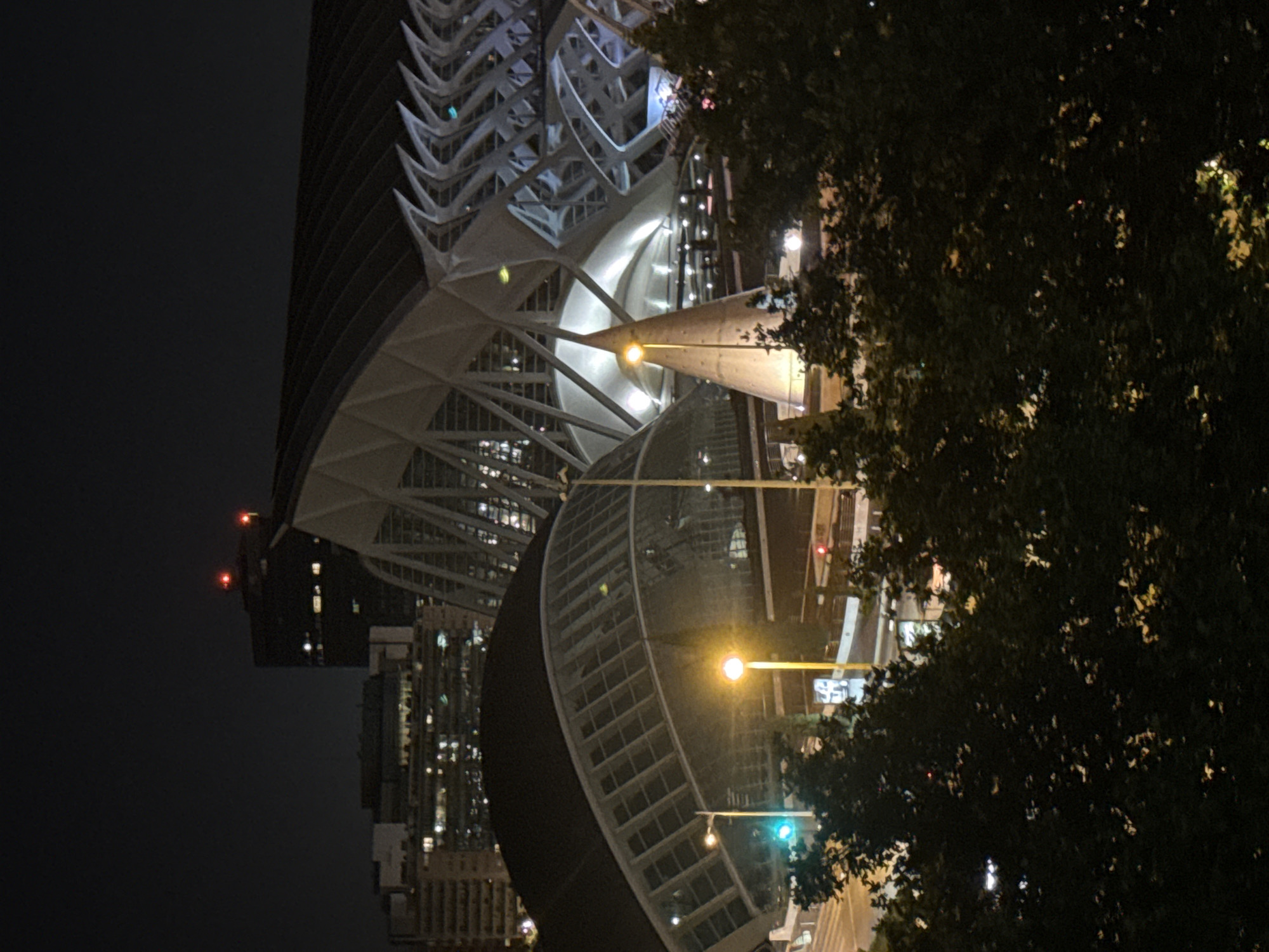 Nighttime views captured at Valencia's City of Arts and Sciences