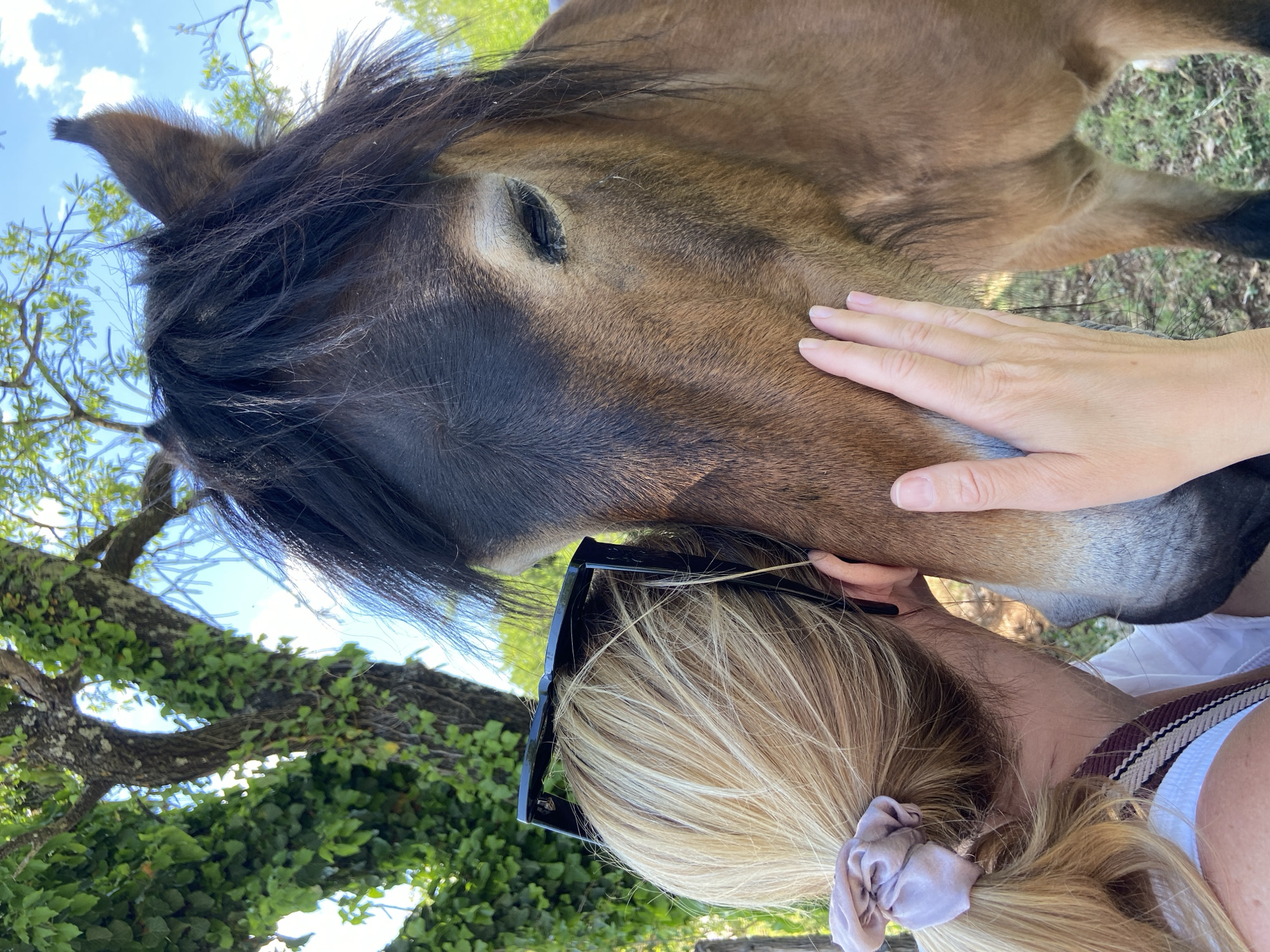 Woman bonds with horse in Montenegro countryside