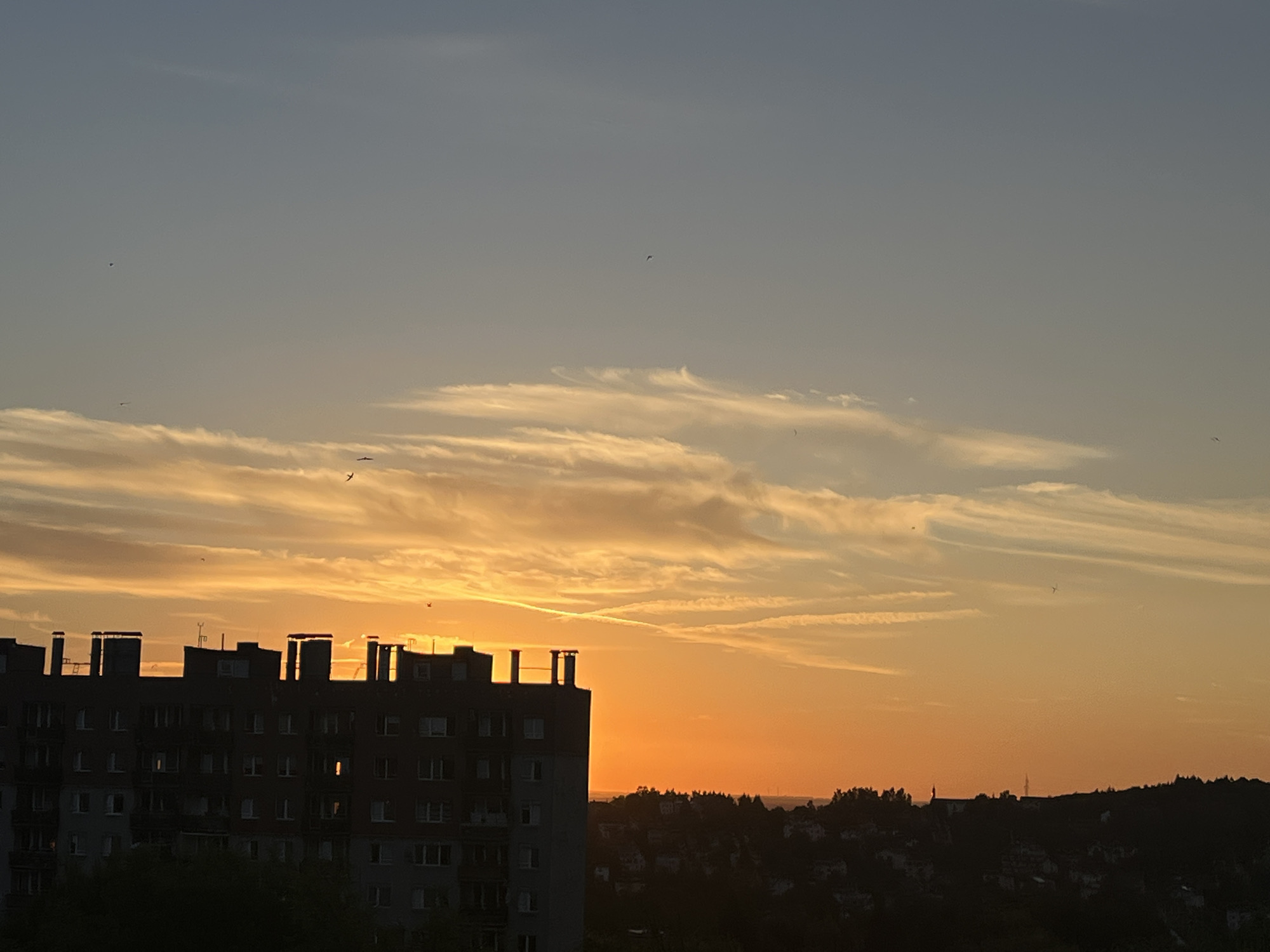 City sunset from an elevated spot, golden hour in full effect