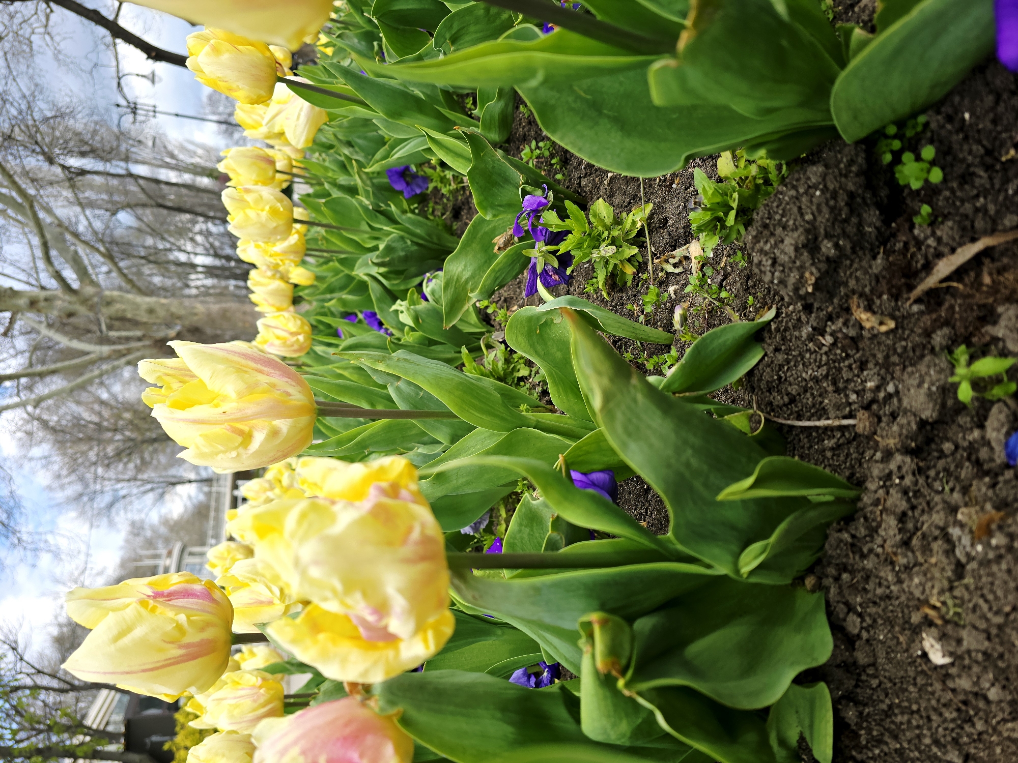 Spring morning documented through cafes and gardens in Varna