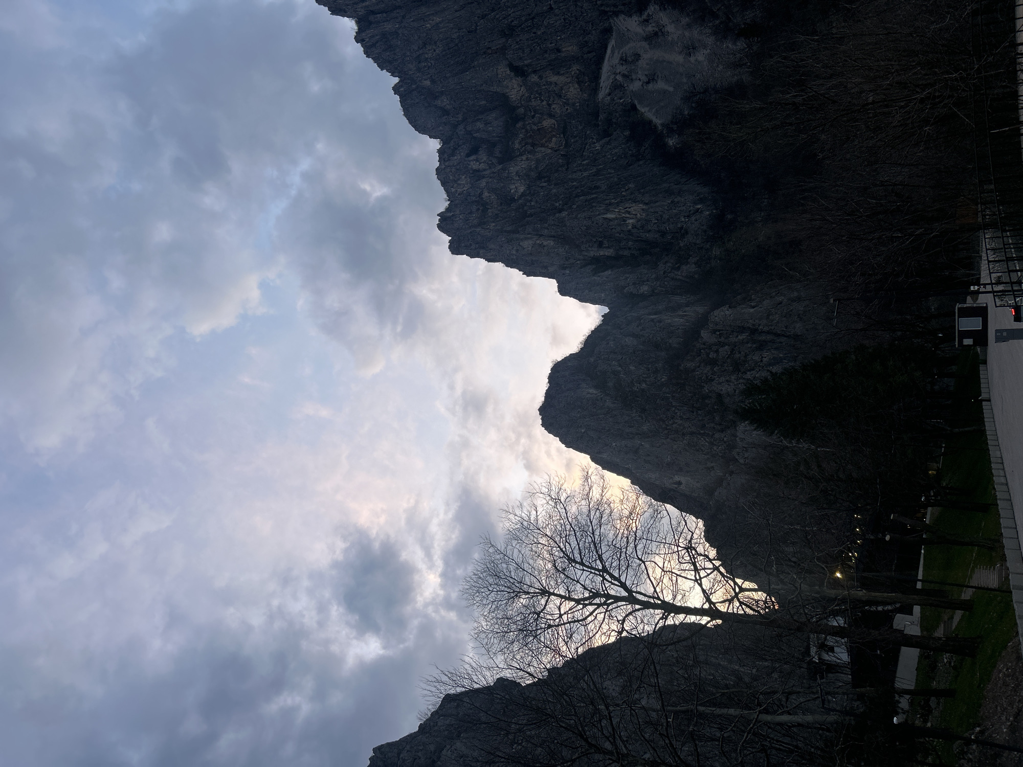 German Shepherd photographed at Vratsa Gorge during twilight