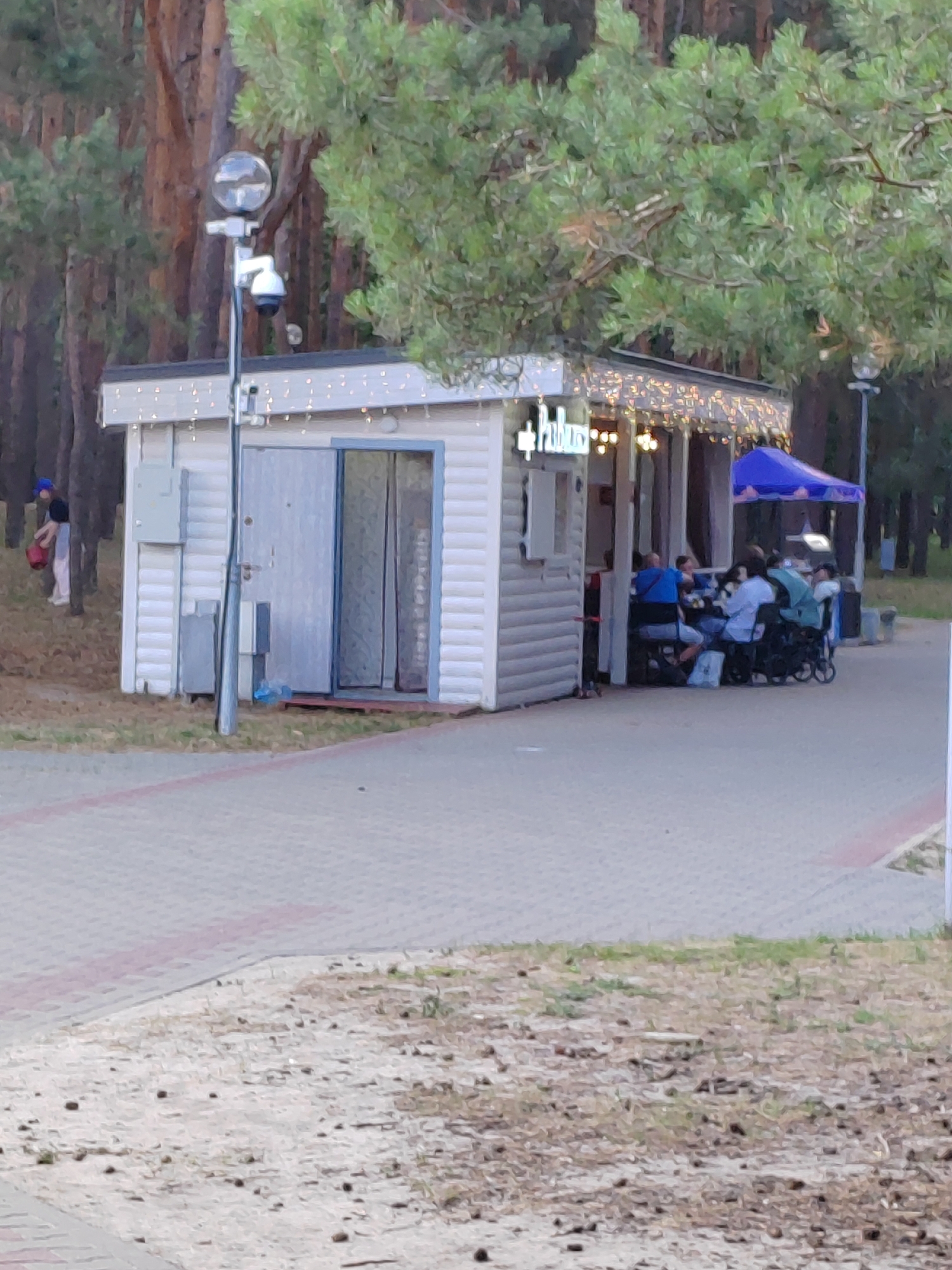 Afternoon in Brest's pine forest park, wildlife and locals included