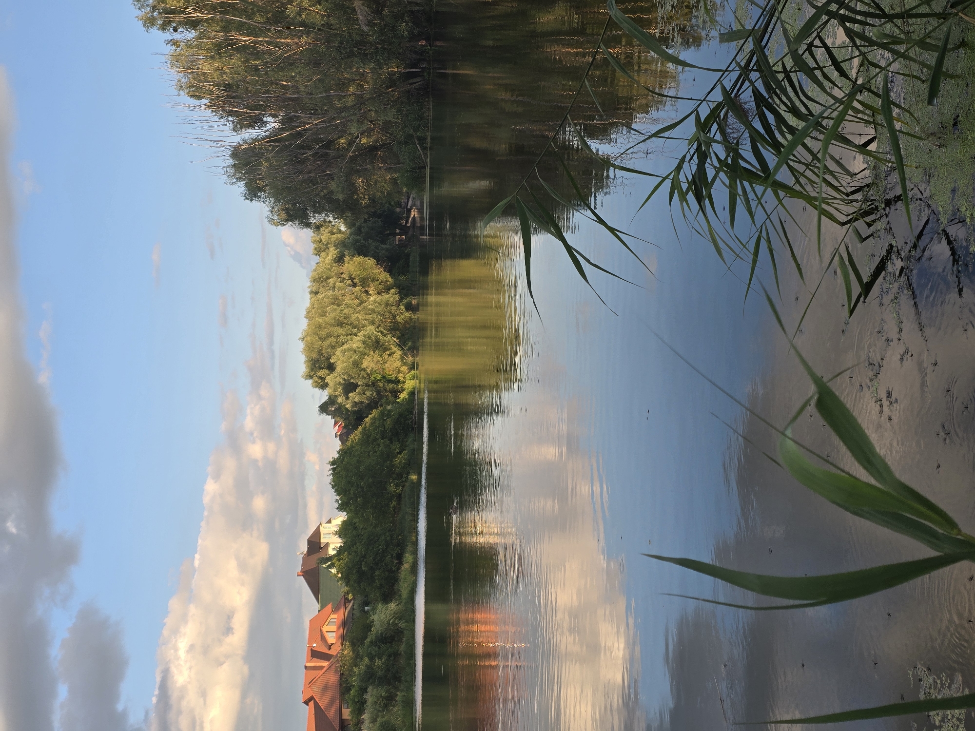 Golden hour at a quiet lake in Sofiivska Borshchahivka