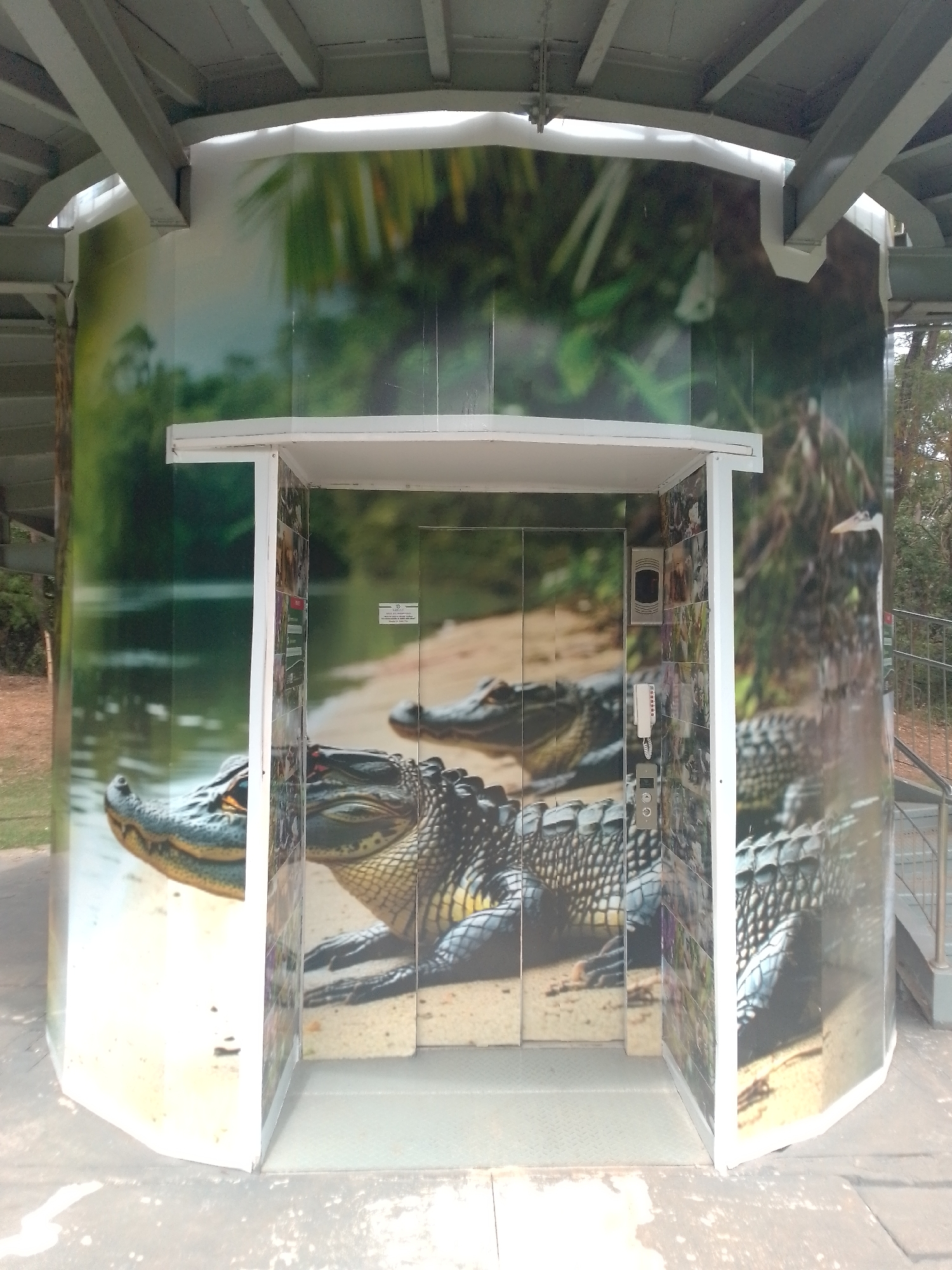 Wildlife murals spotted at Cuiabá landmarks feature local fauna