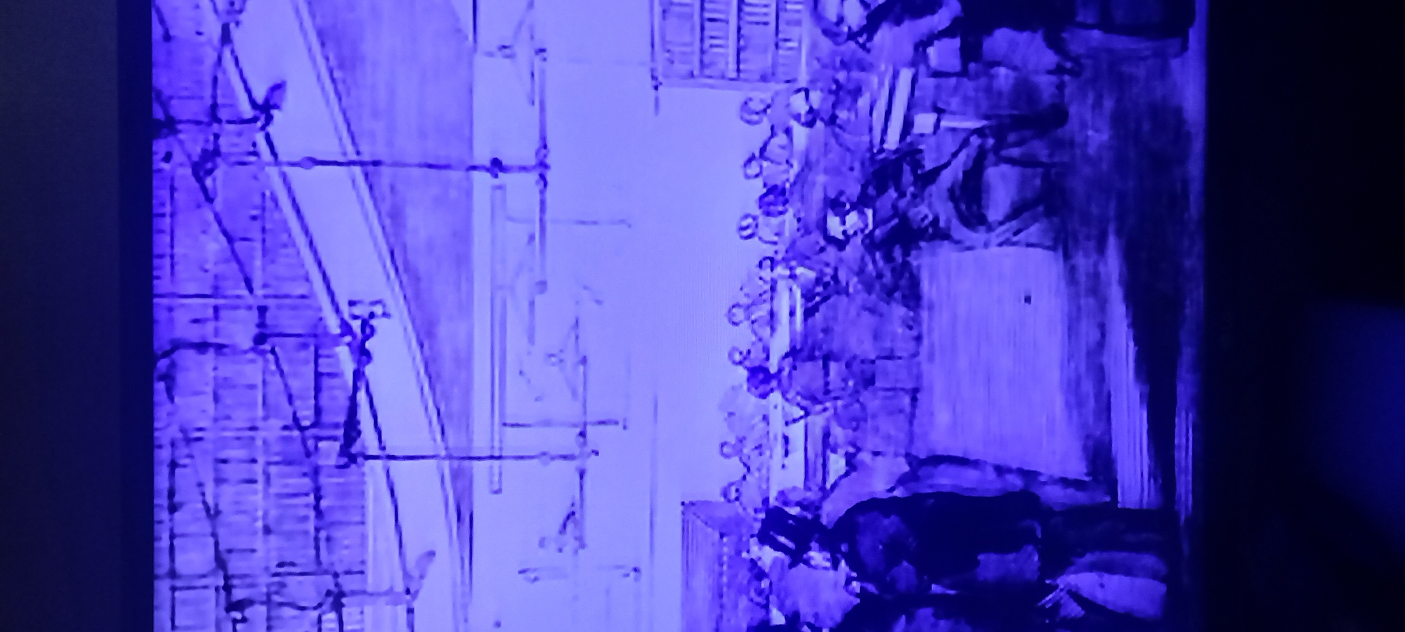 Purple-tinted snapshots: hyraxes, halls, and a construction site