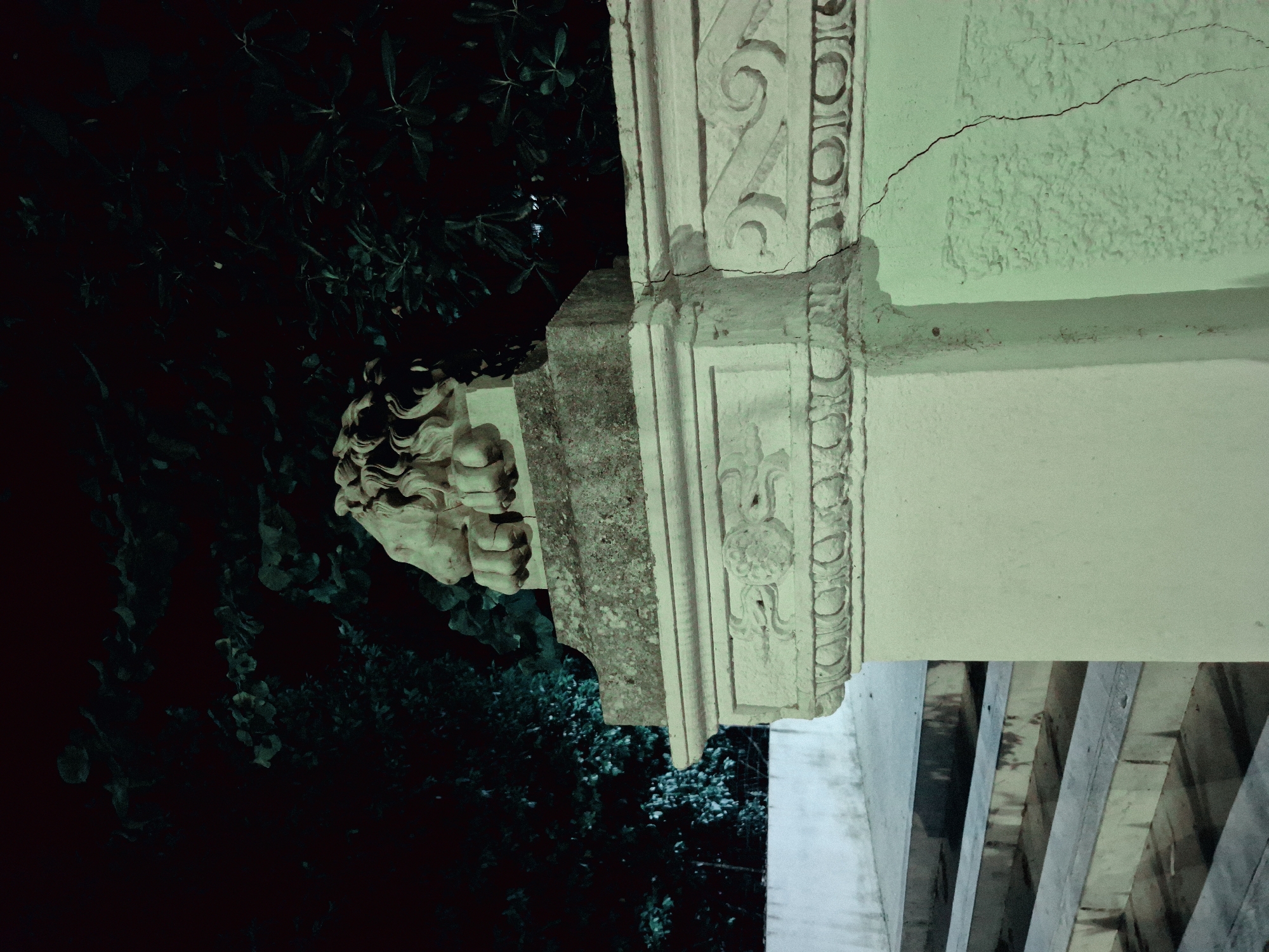 Night scenes from Taranto: stone lions, shadows, and a black cat