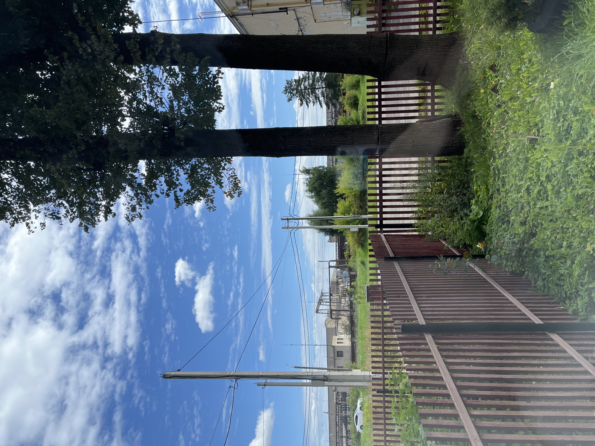 Quiet summer morning in Ivanovo, indoors and out