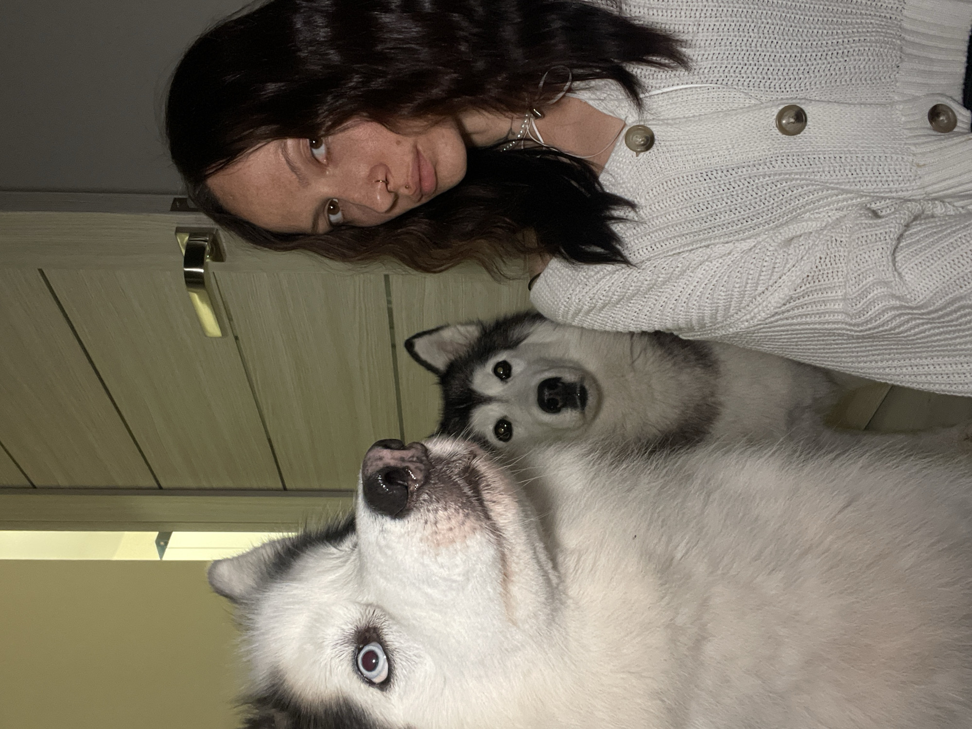 Woman photographed with two huskies indoors in Izhevsk