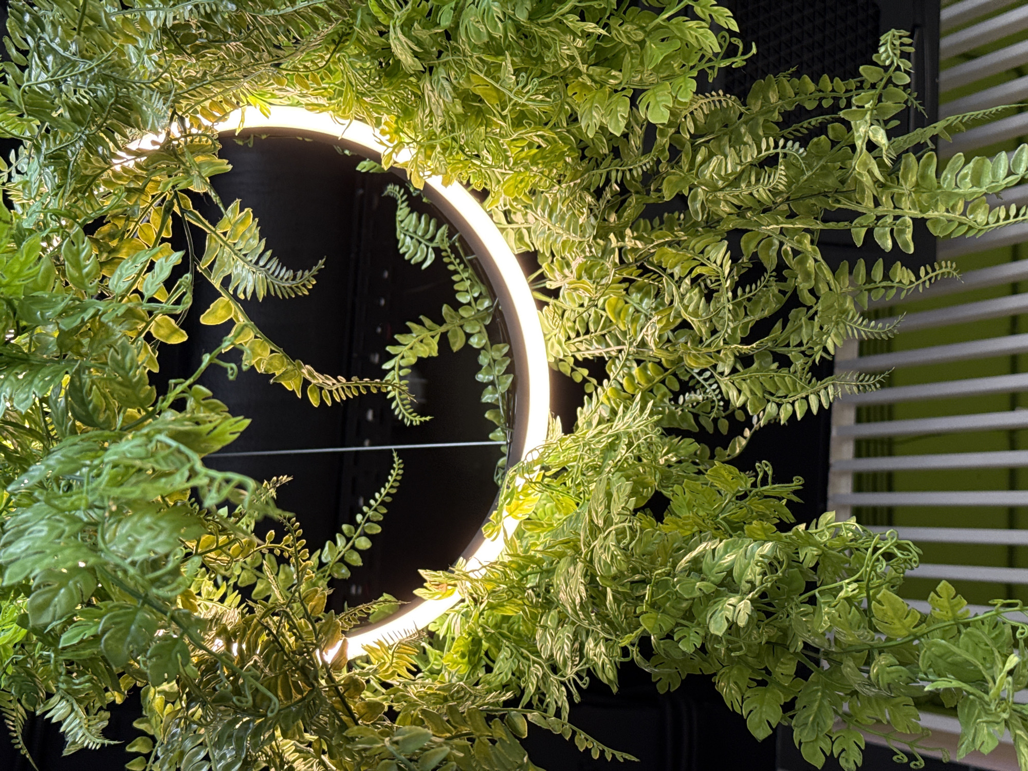 Illuminated greenery displays documented in Lyubertsy, Russia