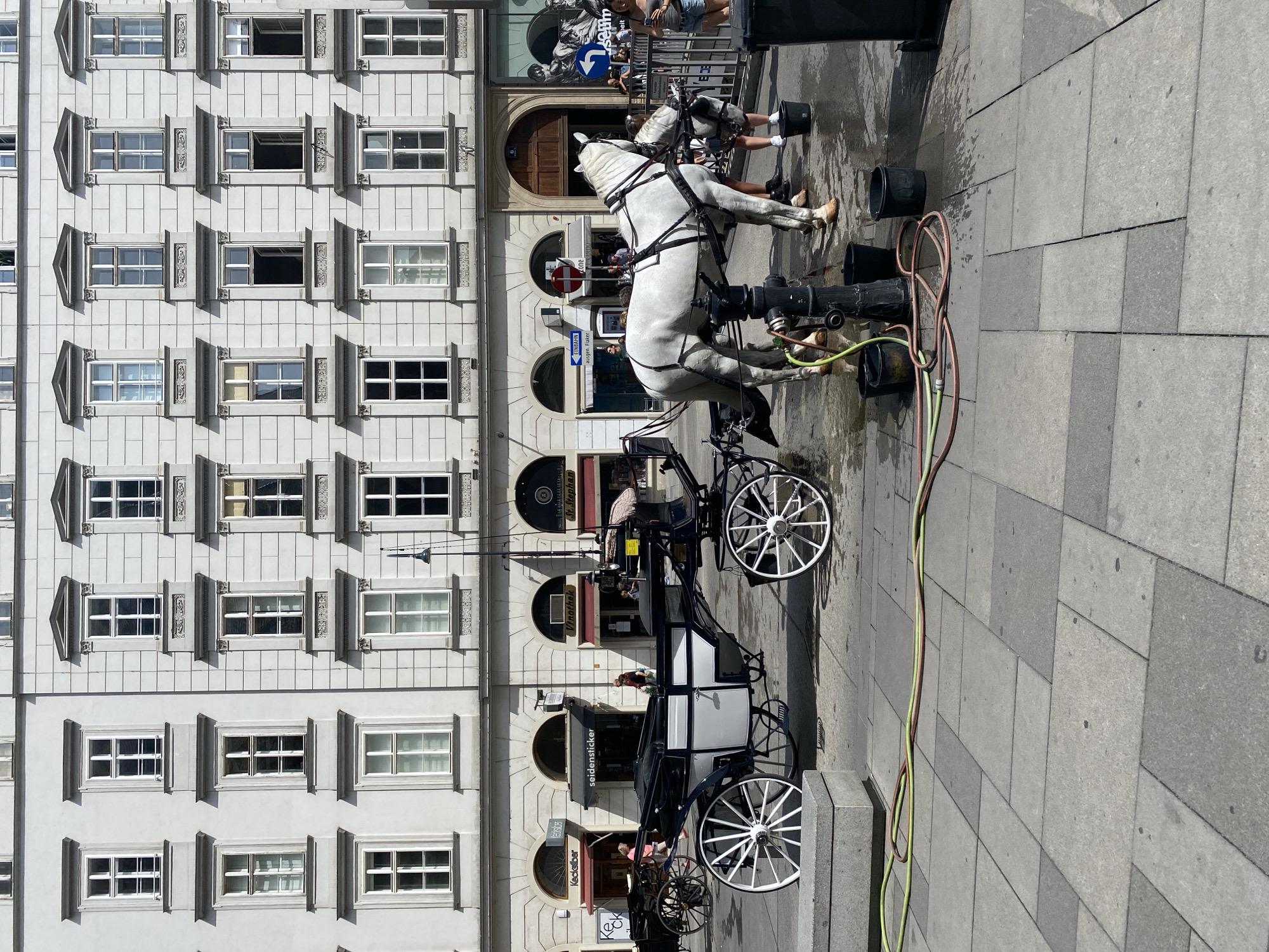 Horses, carriages, and crowds around St. Stephen's Cathedral, Vienna