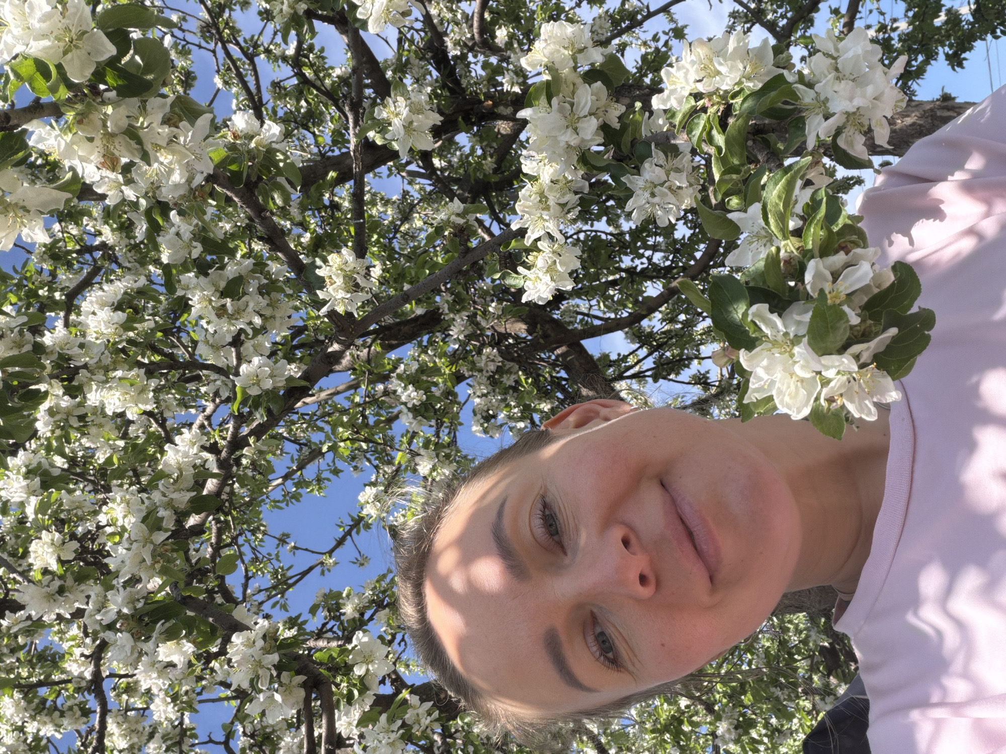 Woman photographs blooming trees in Chaikovsky garden scene