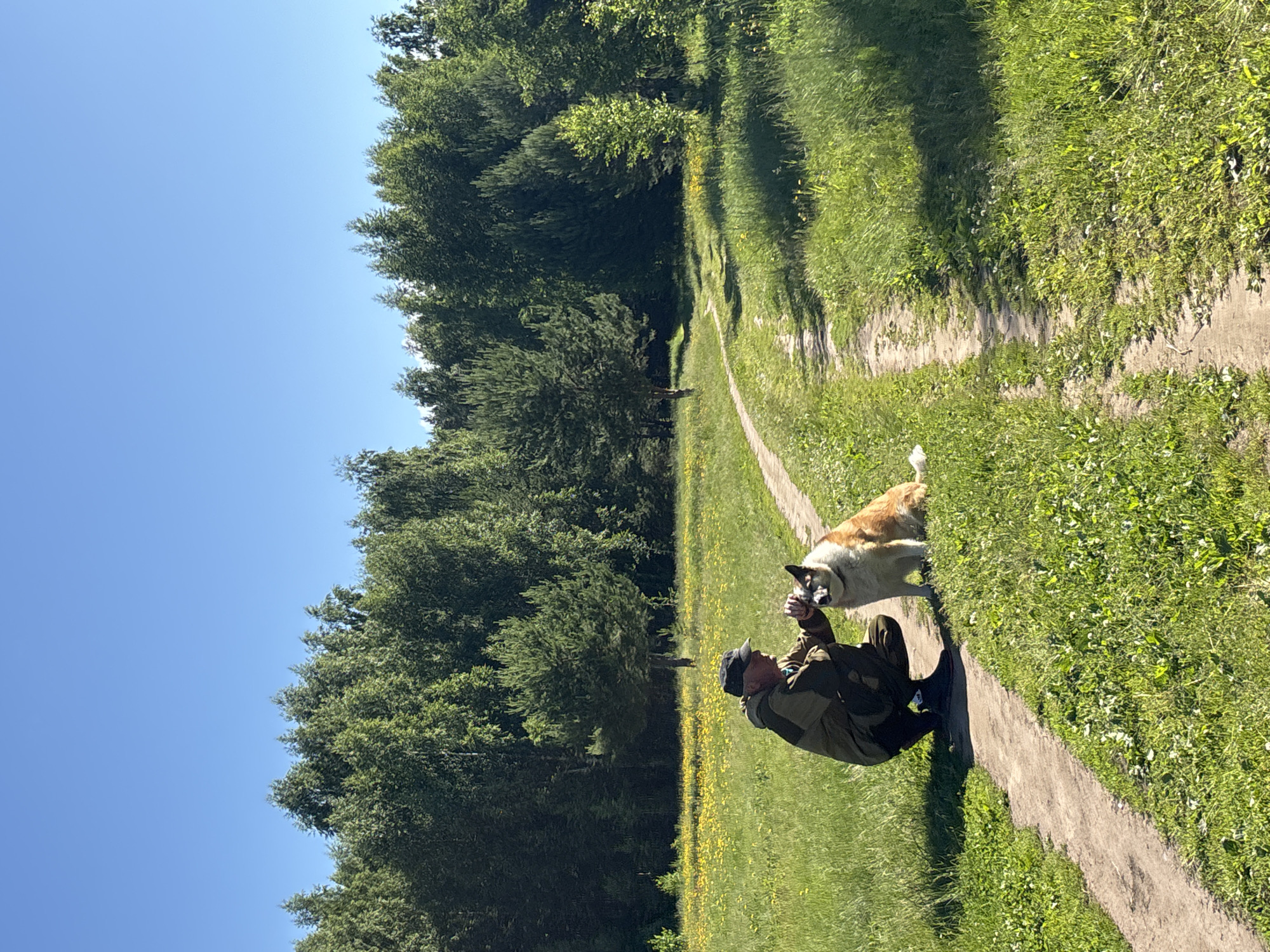 Morning outdoor activities documented across Chaikovsky, Russia