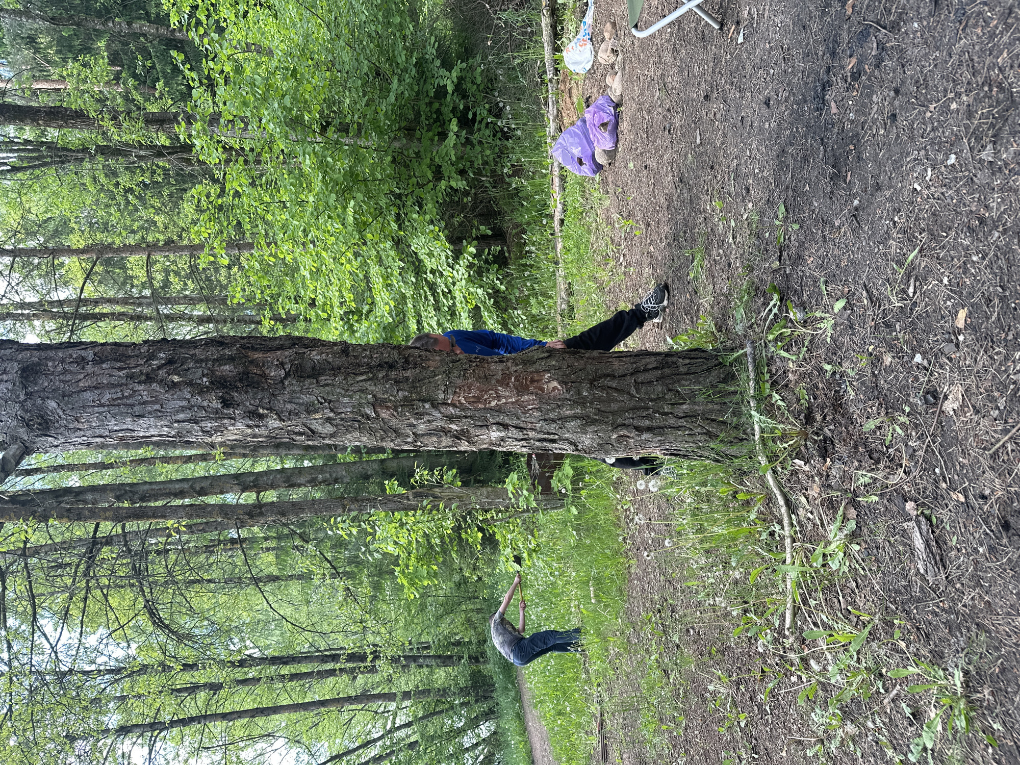 Forest camping group documented in Belarus rural area