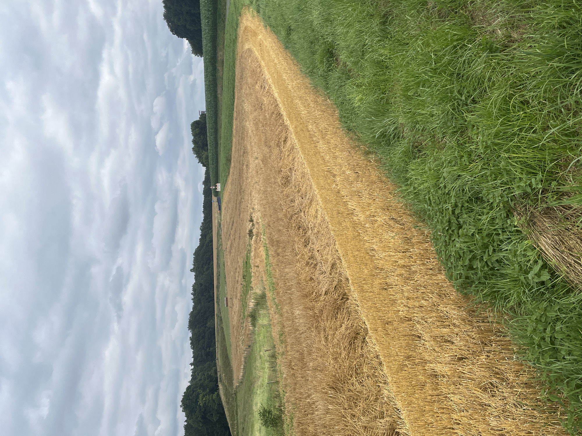 Harvest season underway across Wiera's mixed farmland