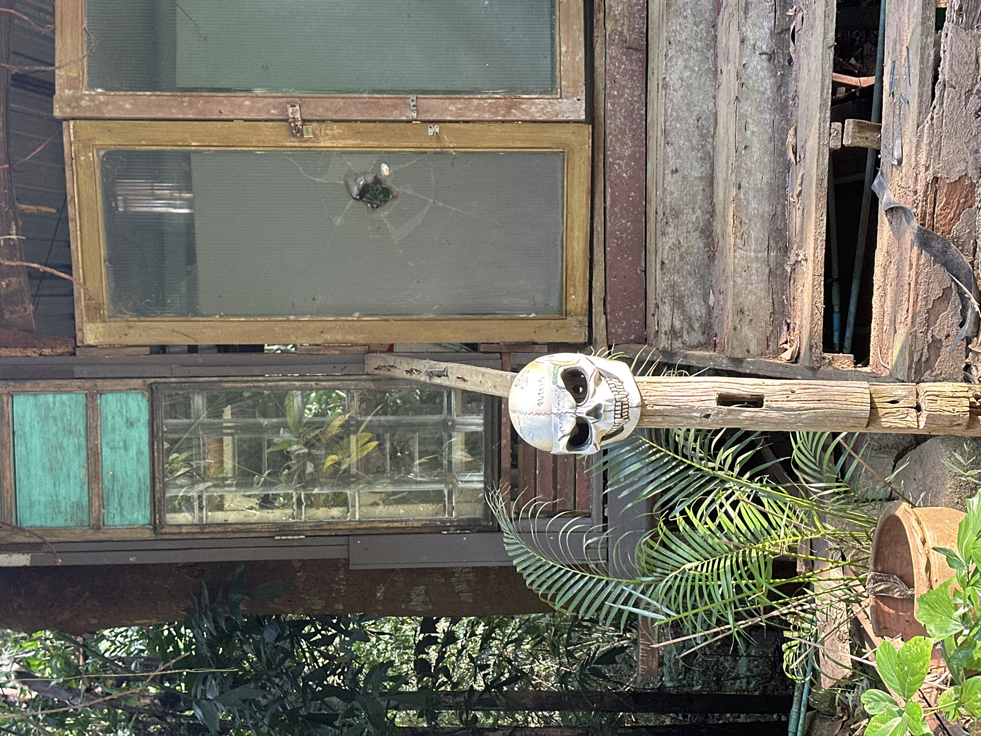 Weathered wooden structure observed in tropical Ko Samui vegetation