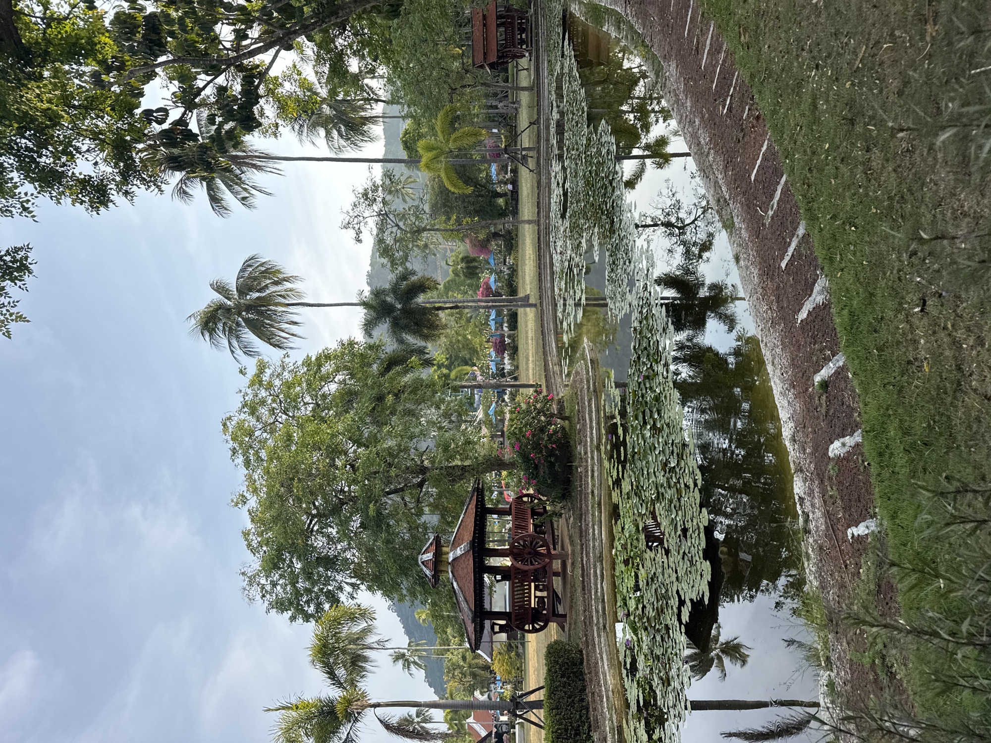 Quiet morning at Patong park pond with gazebo