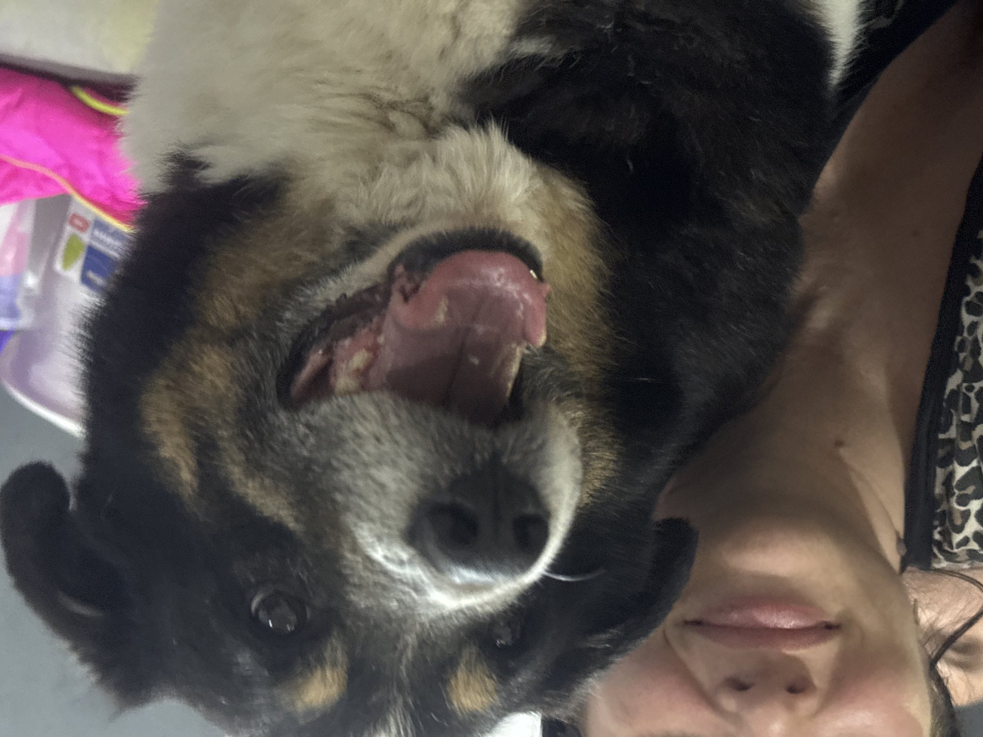 Woman poses with dog indoors in Rusalevka, Russia