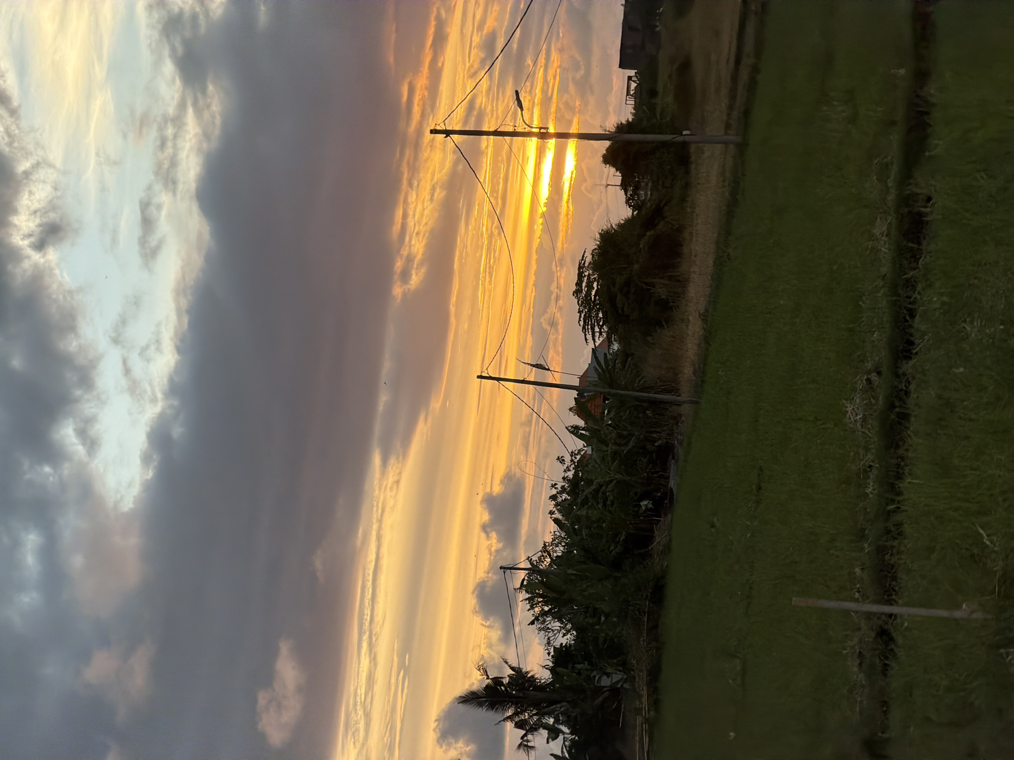 Sunset captured over agricultural fields in Mengwi, Indonesia