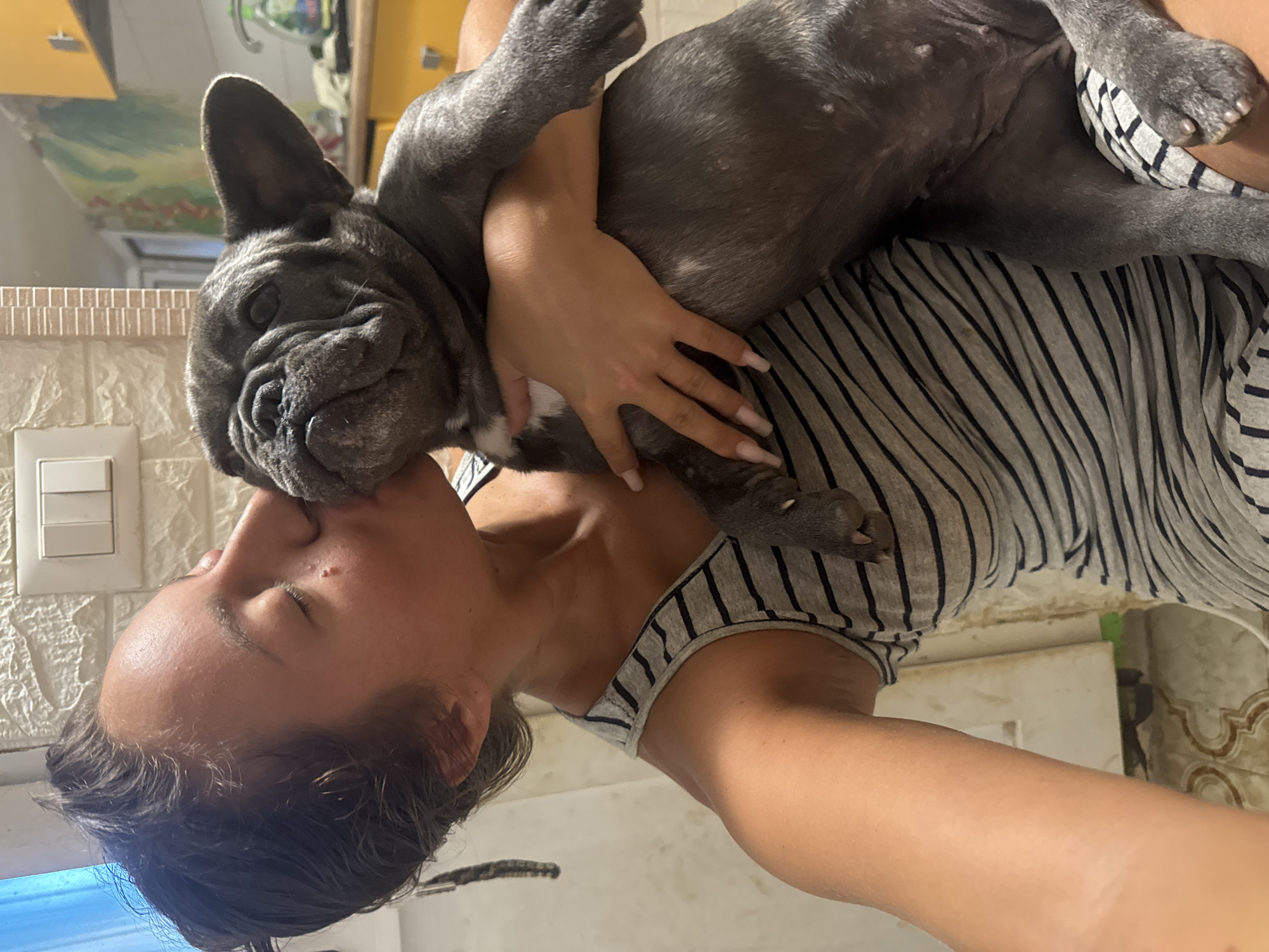 Two French Bulldogs living their best life at home in Italy