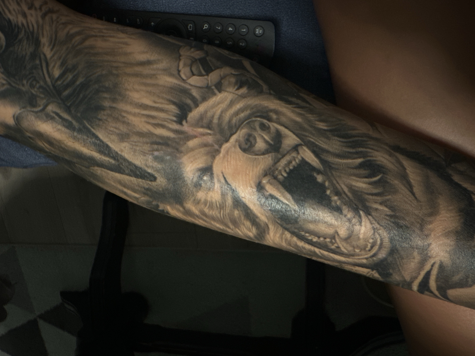 Football on TV, cats, and tattoos on a Sofia evening