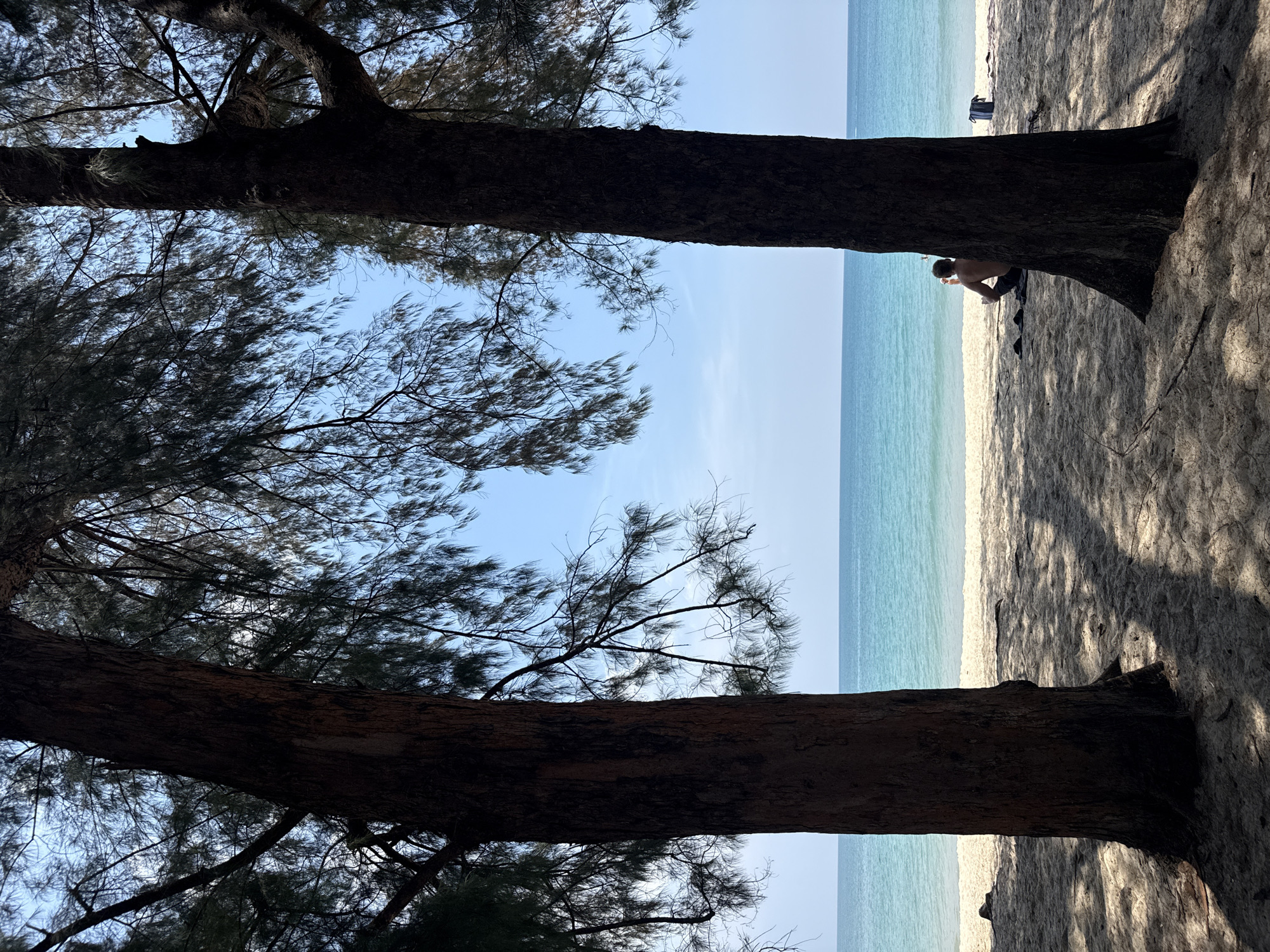 Beach scene captured through trees in Choeng Thale, Thailand
