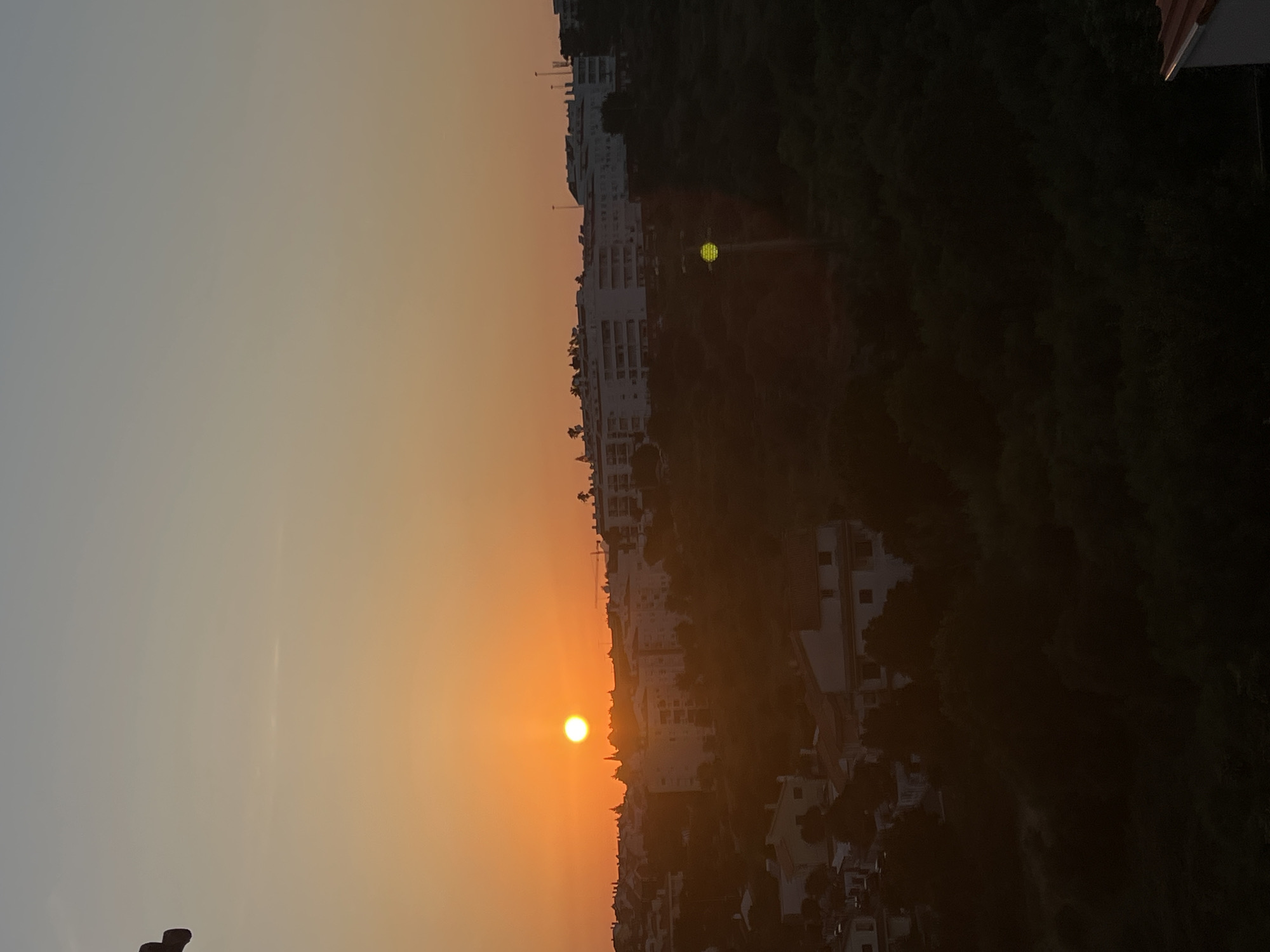 Cascais sunset over hilltop rooftops, with orchids in bloom