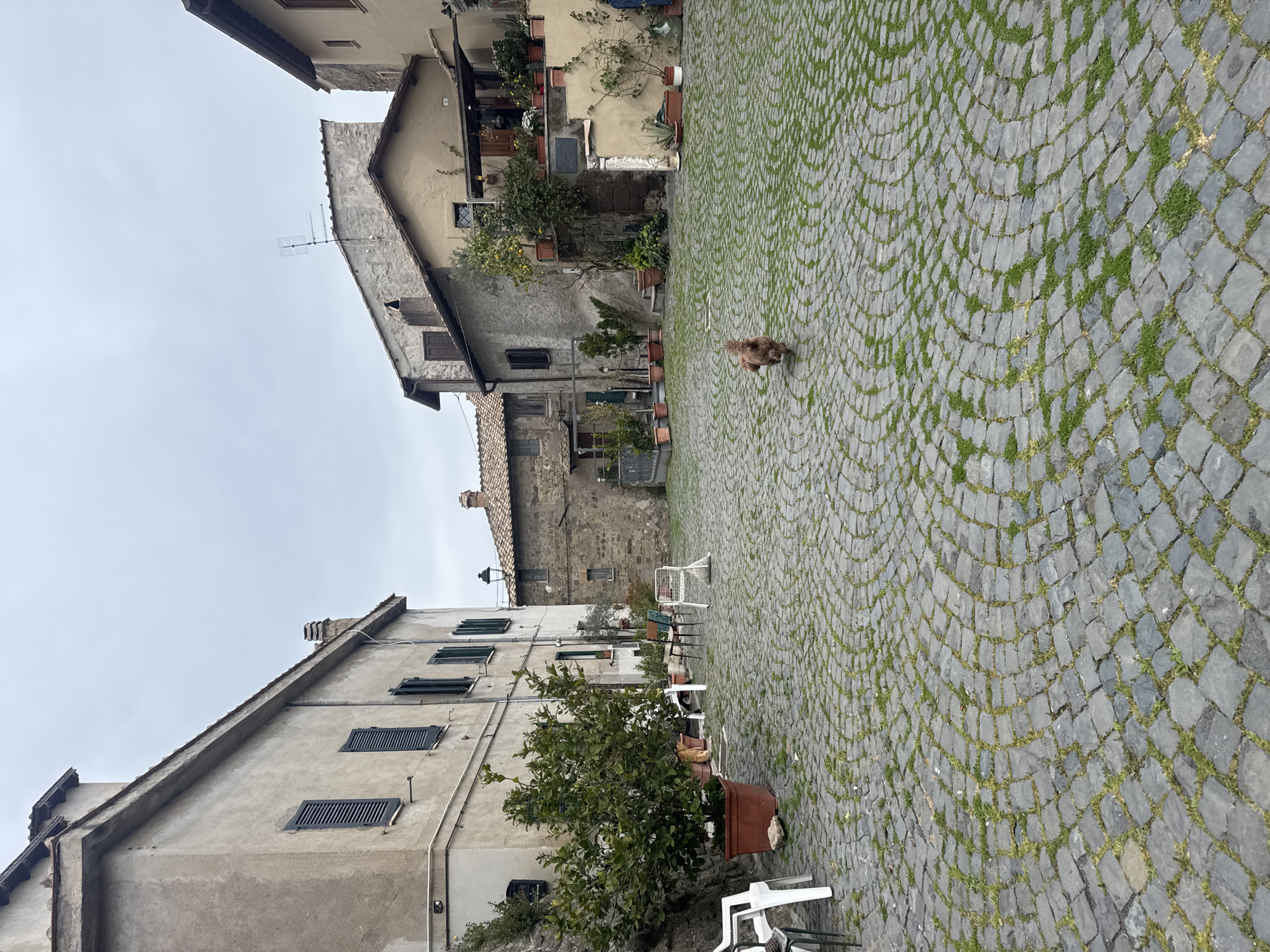 Daily life scenes captured in Italian cobblestone town