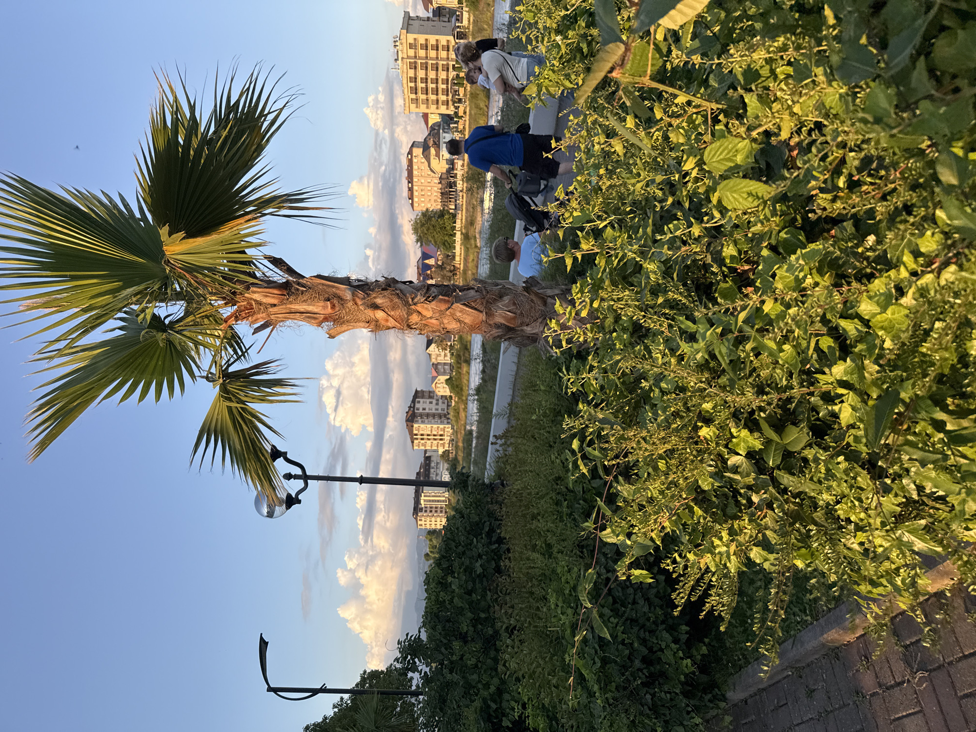 Sunset evening along Sochi's Black Sea promenade