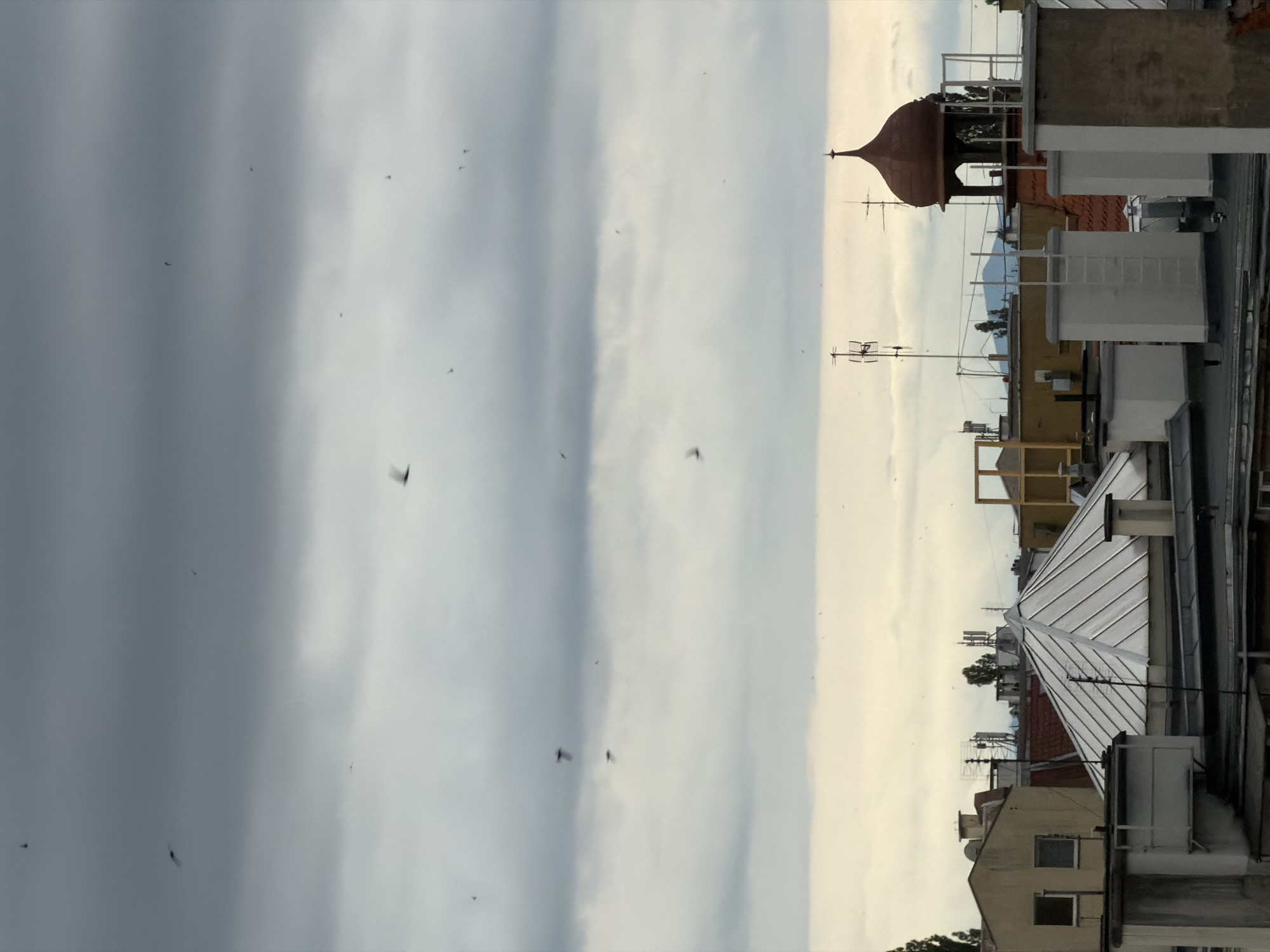 Birds in flight over a cloudy city skyline